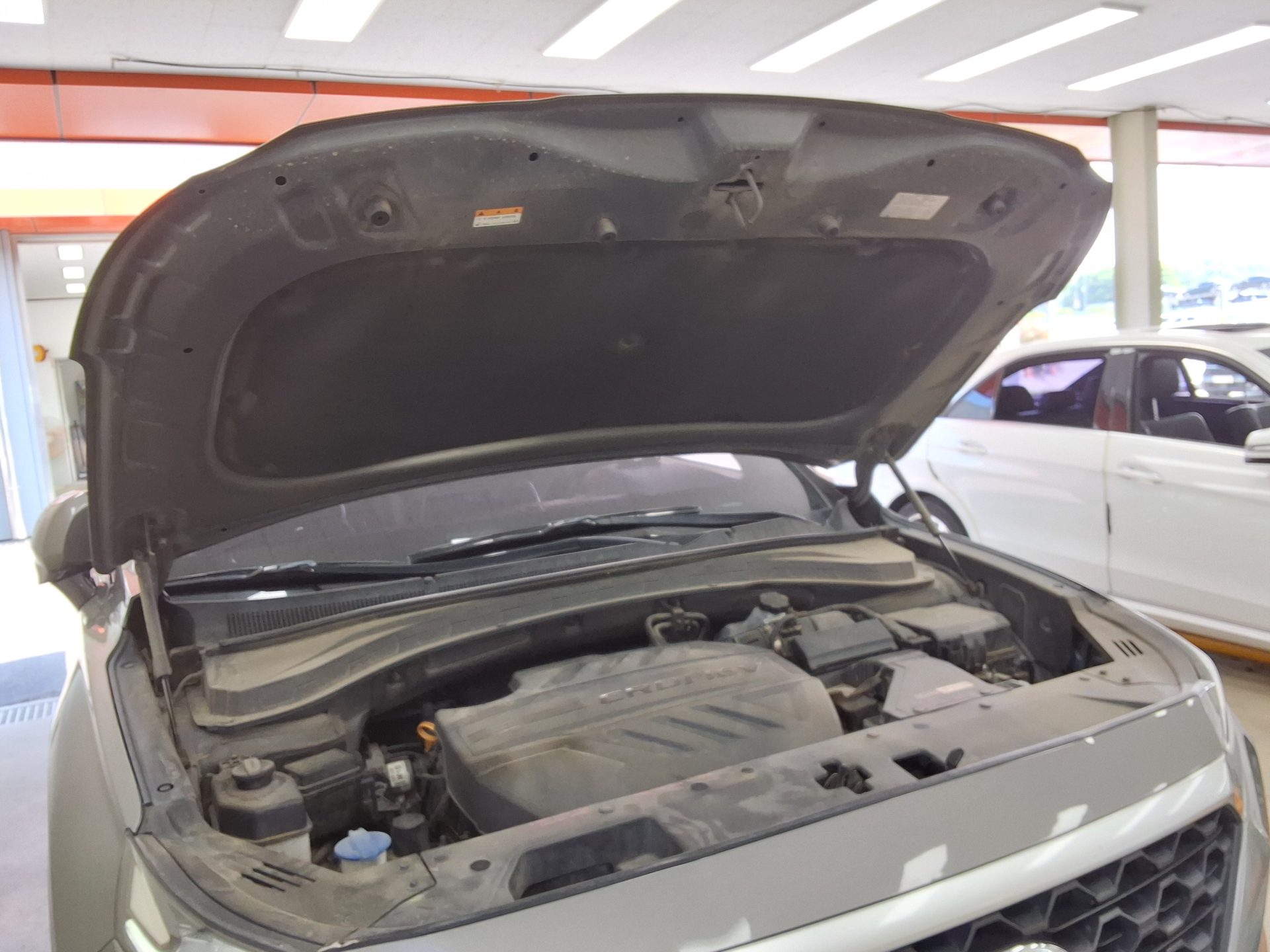 2019 - hyundai santa fe