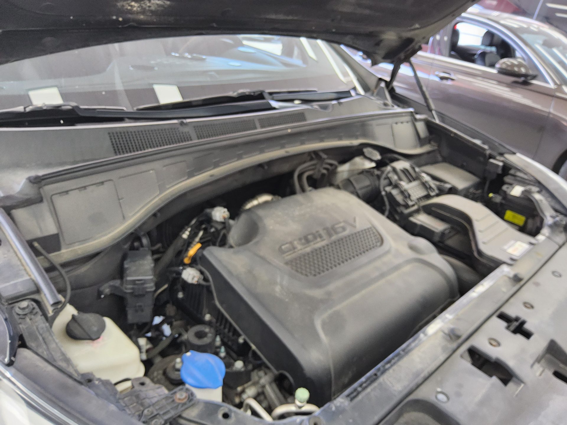 2015 - hyundai maxcruz