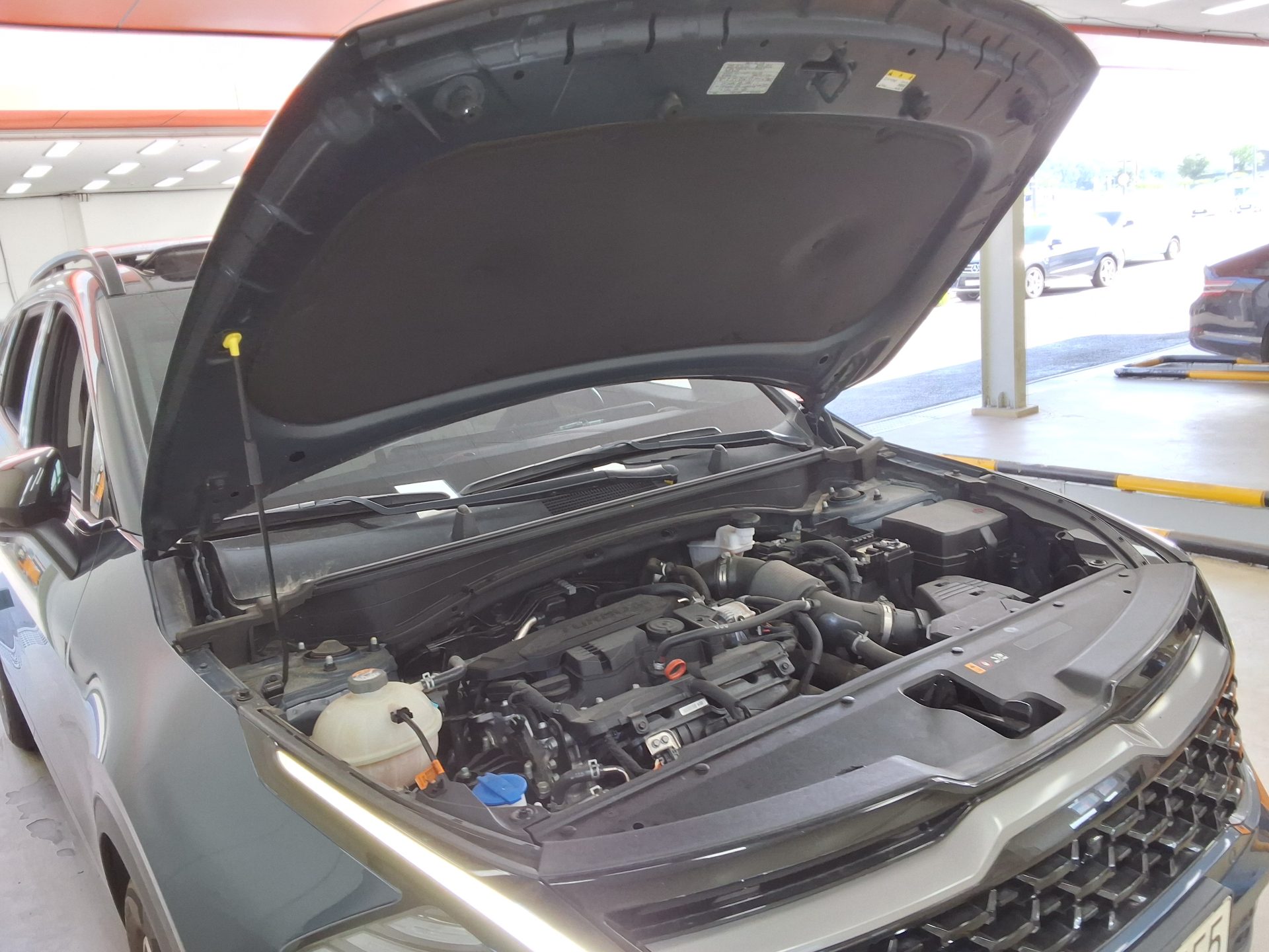 2022 - kia sportage
