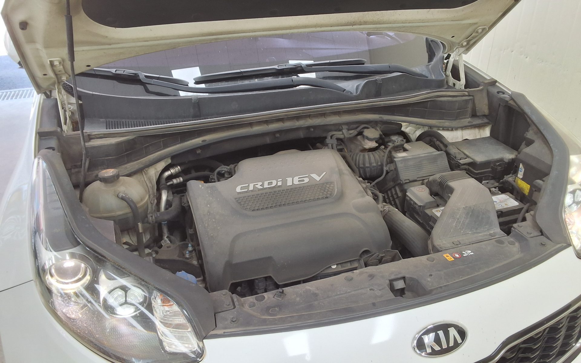 2016 - kia sportage