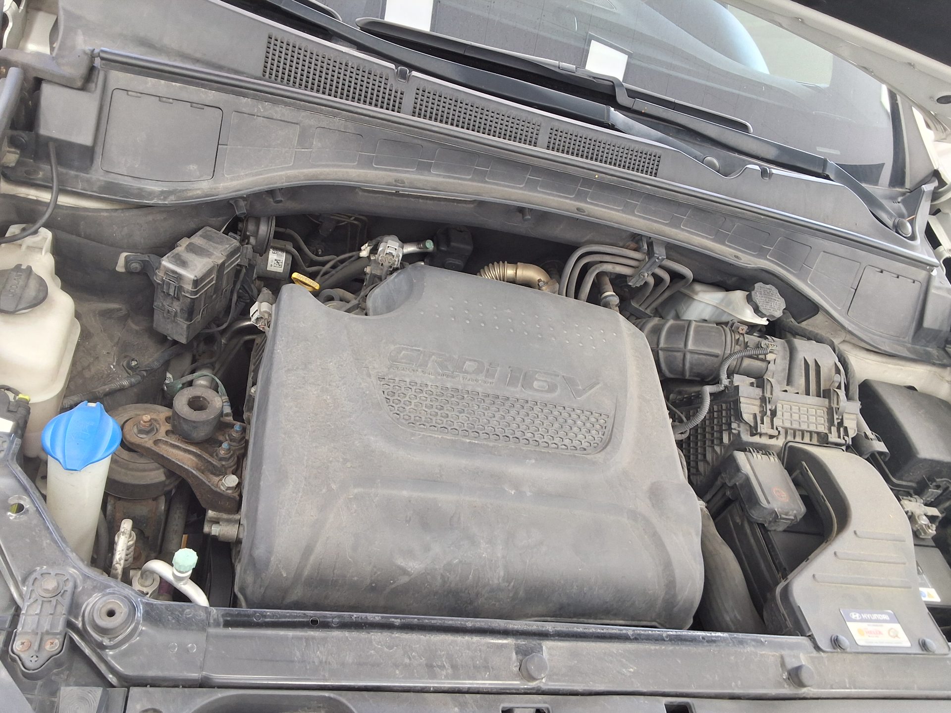 2014 - hyundai maxcruz