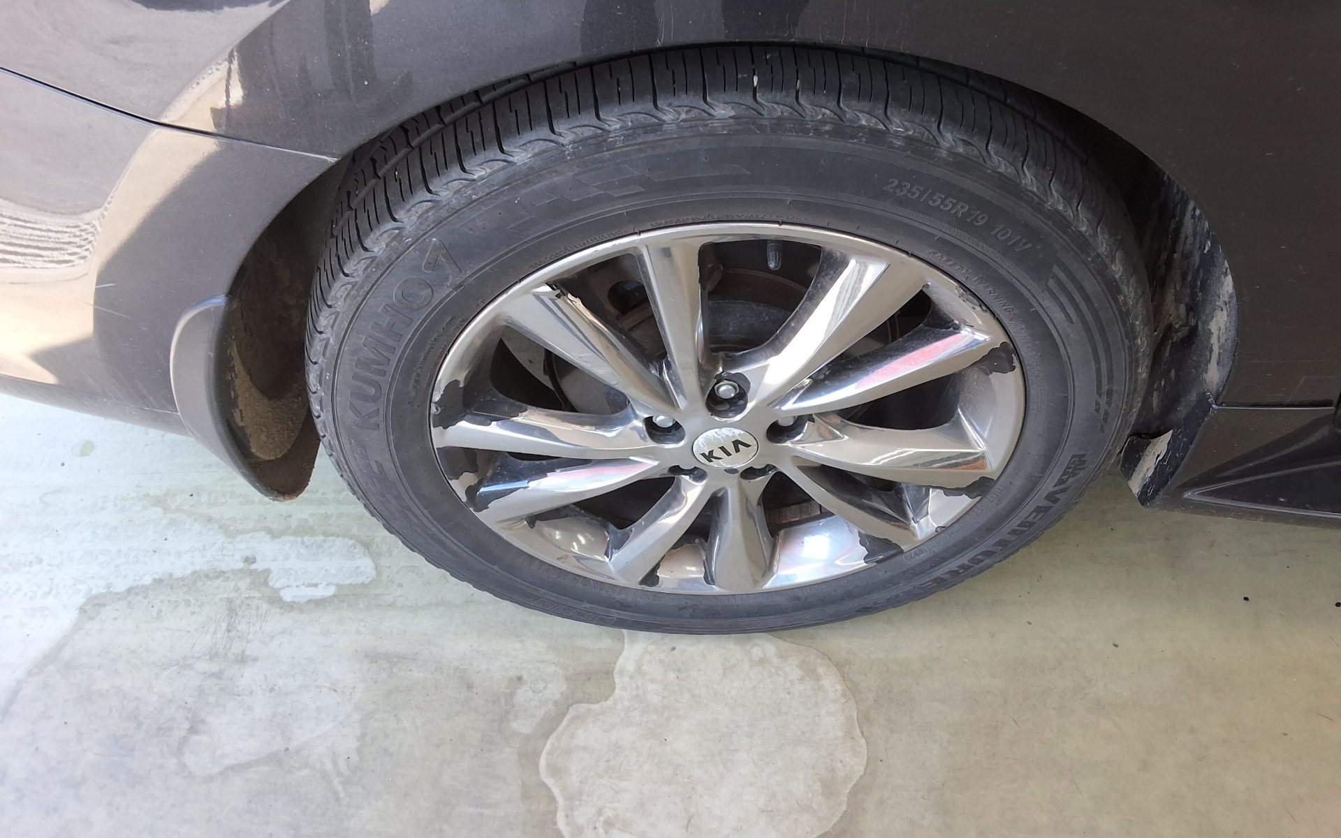 2019 - kia carnival