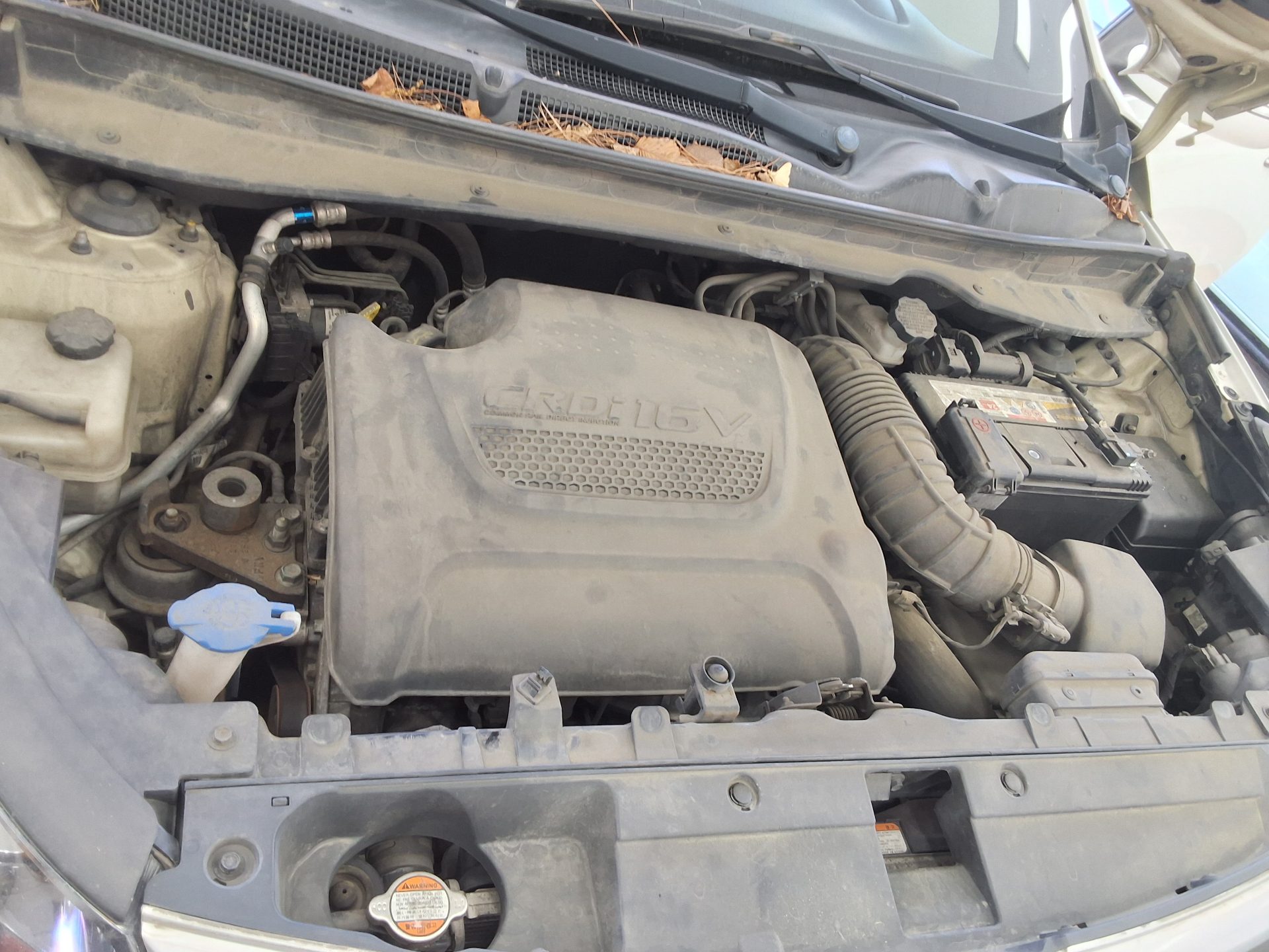 2011 - kia sportage