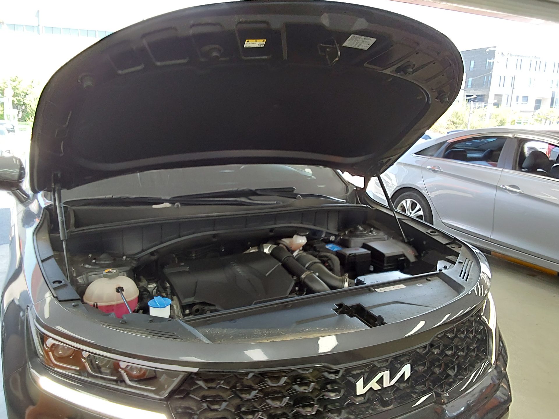 2023 - kia sorento