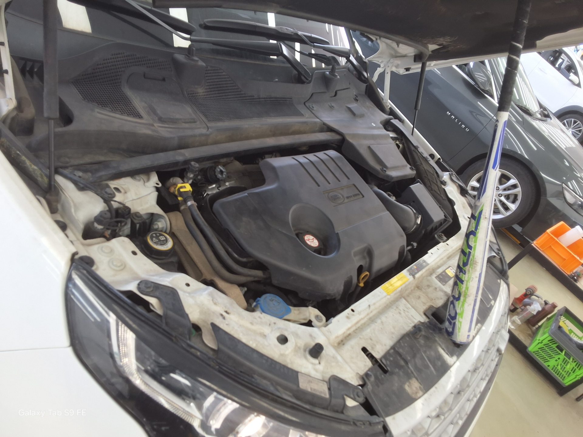 2019 - land rover discovery