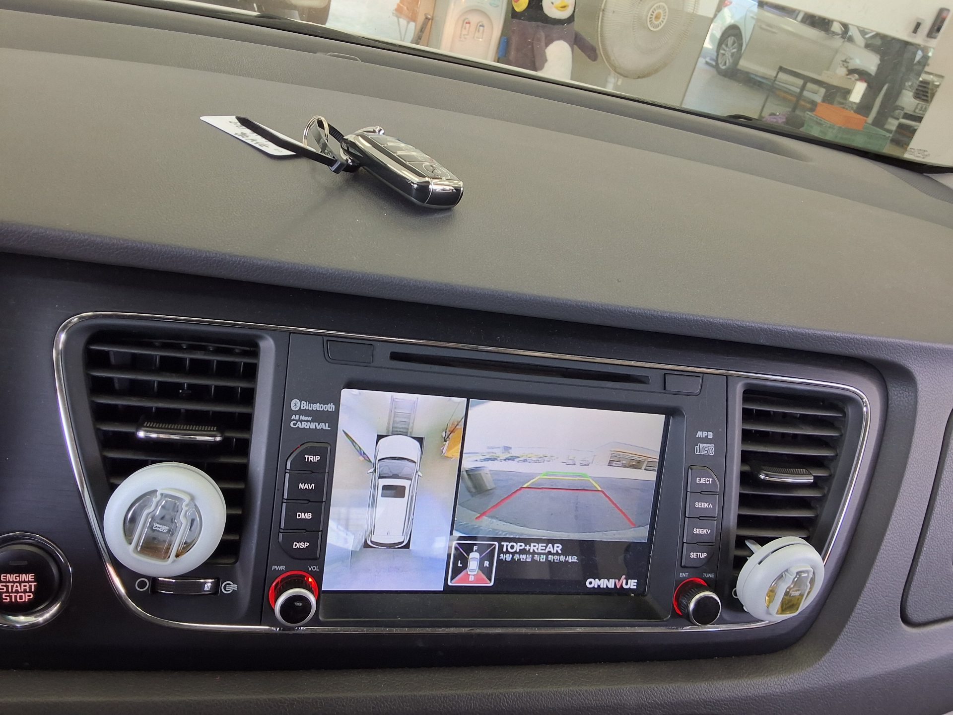 2018 - kia carnival