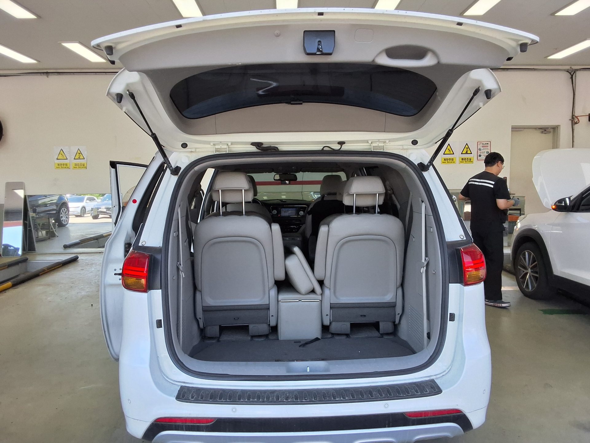 2018 - kia carnival