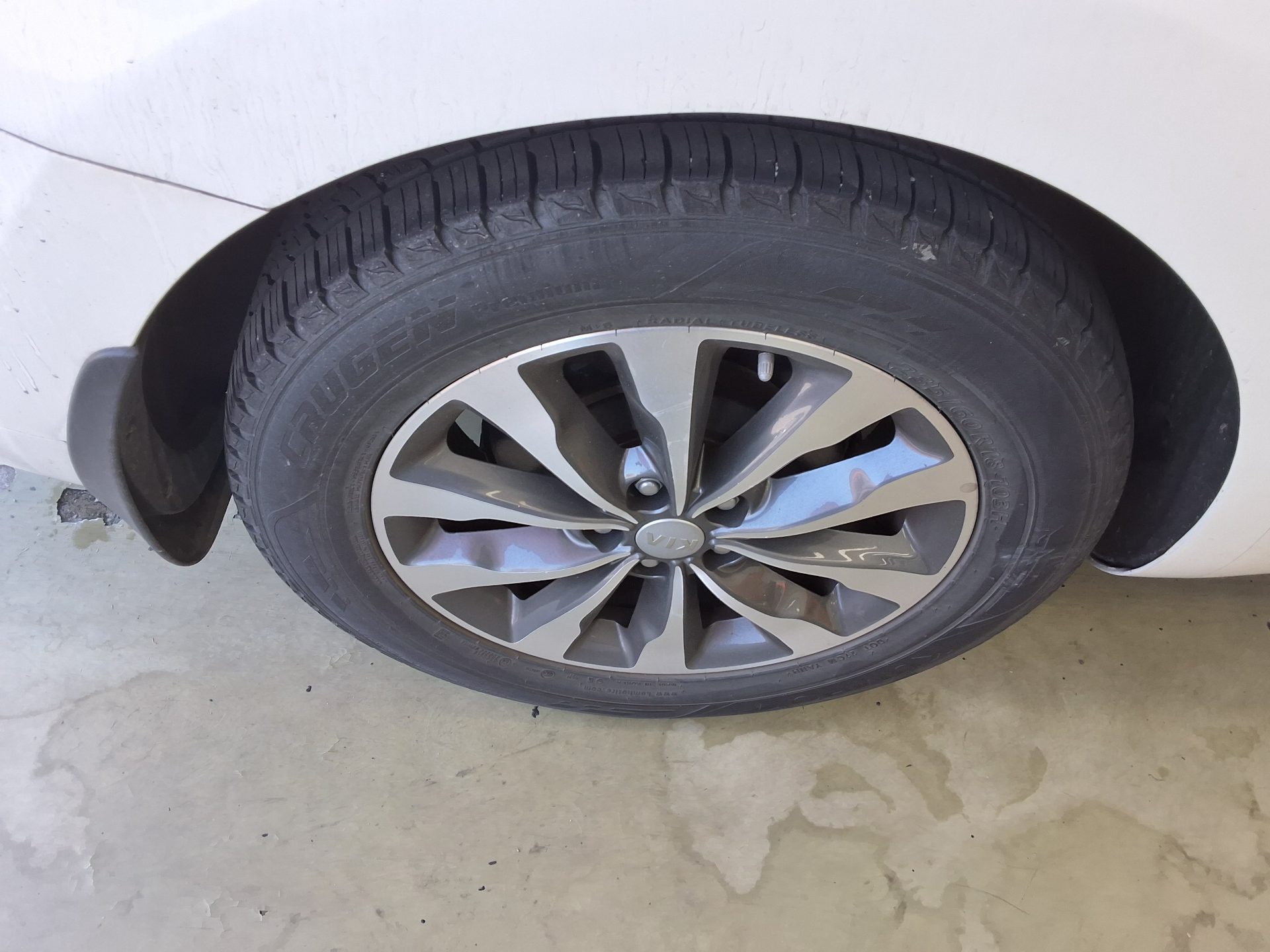 2018 - kia carnival