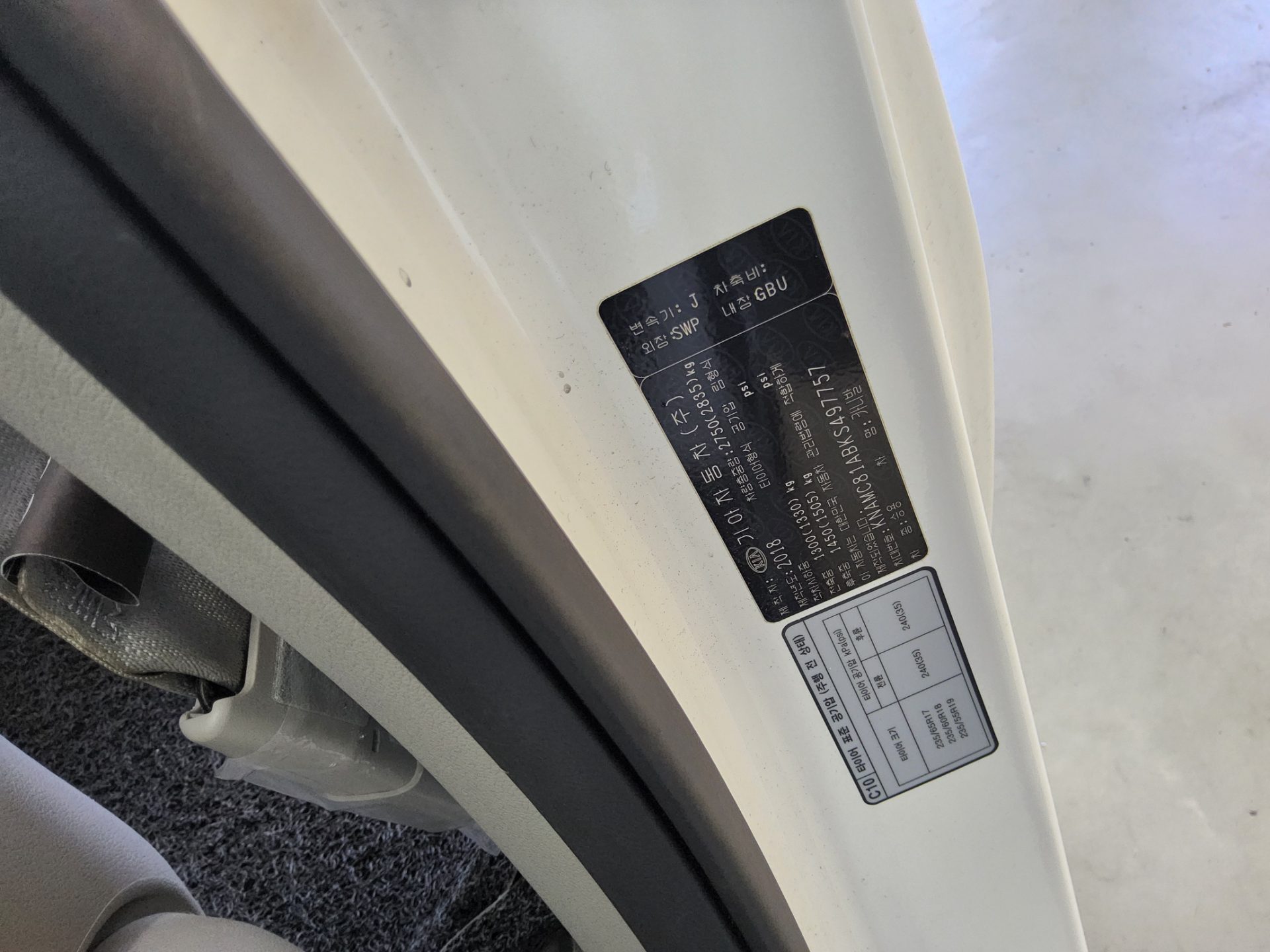 2019 - kia carnival