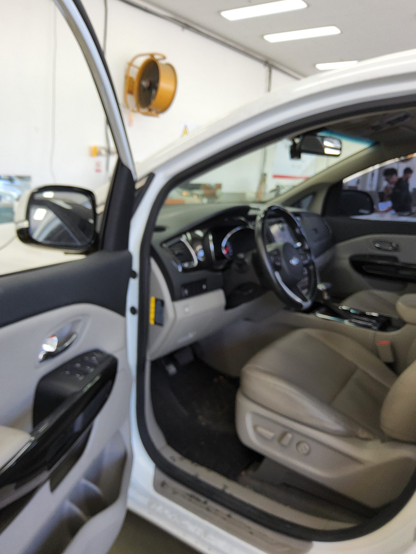 2019 - kia carnival