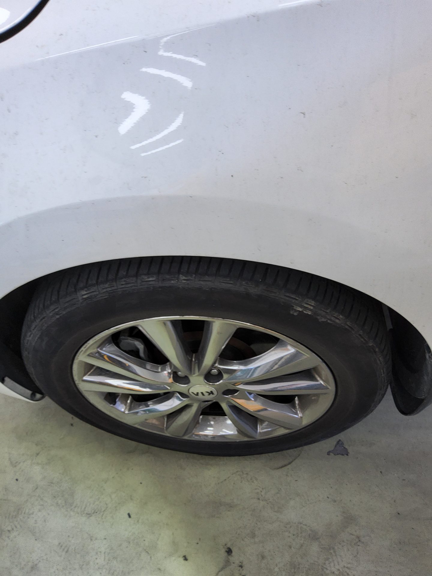 2019 - kia carnival