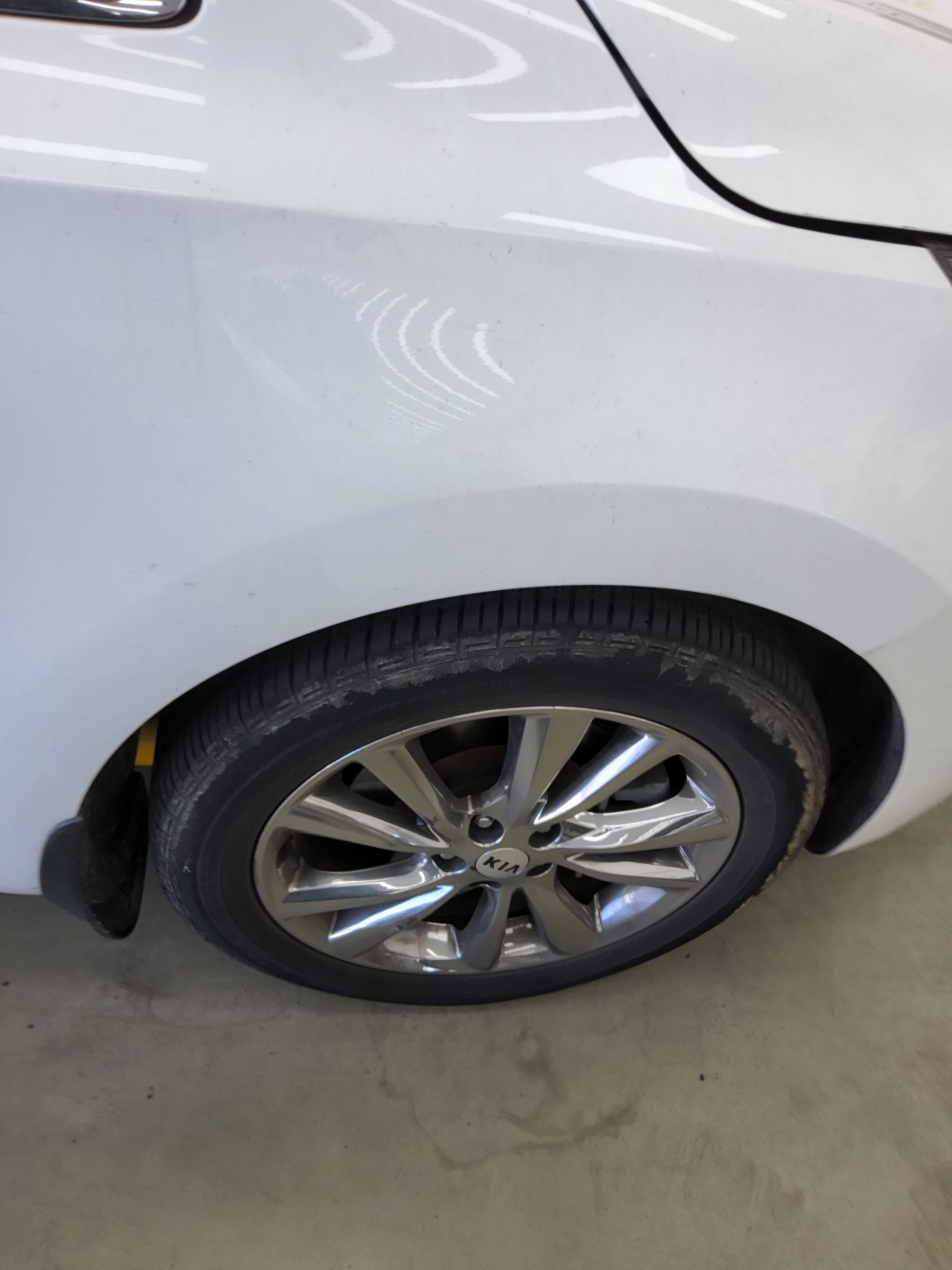 2019 - kia carnival