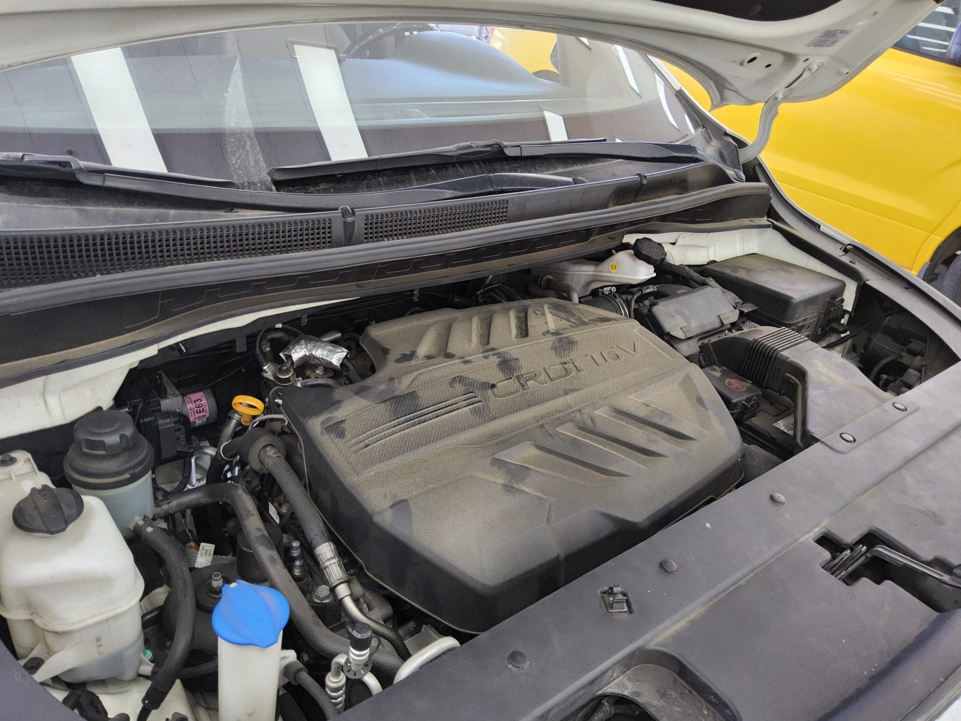 2019 - kia carnival