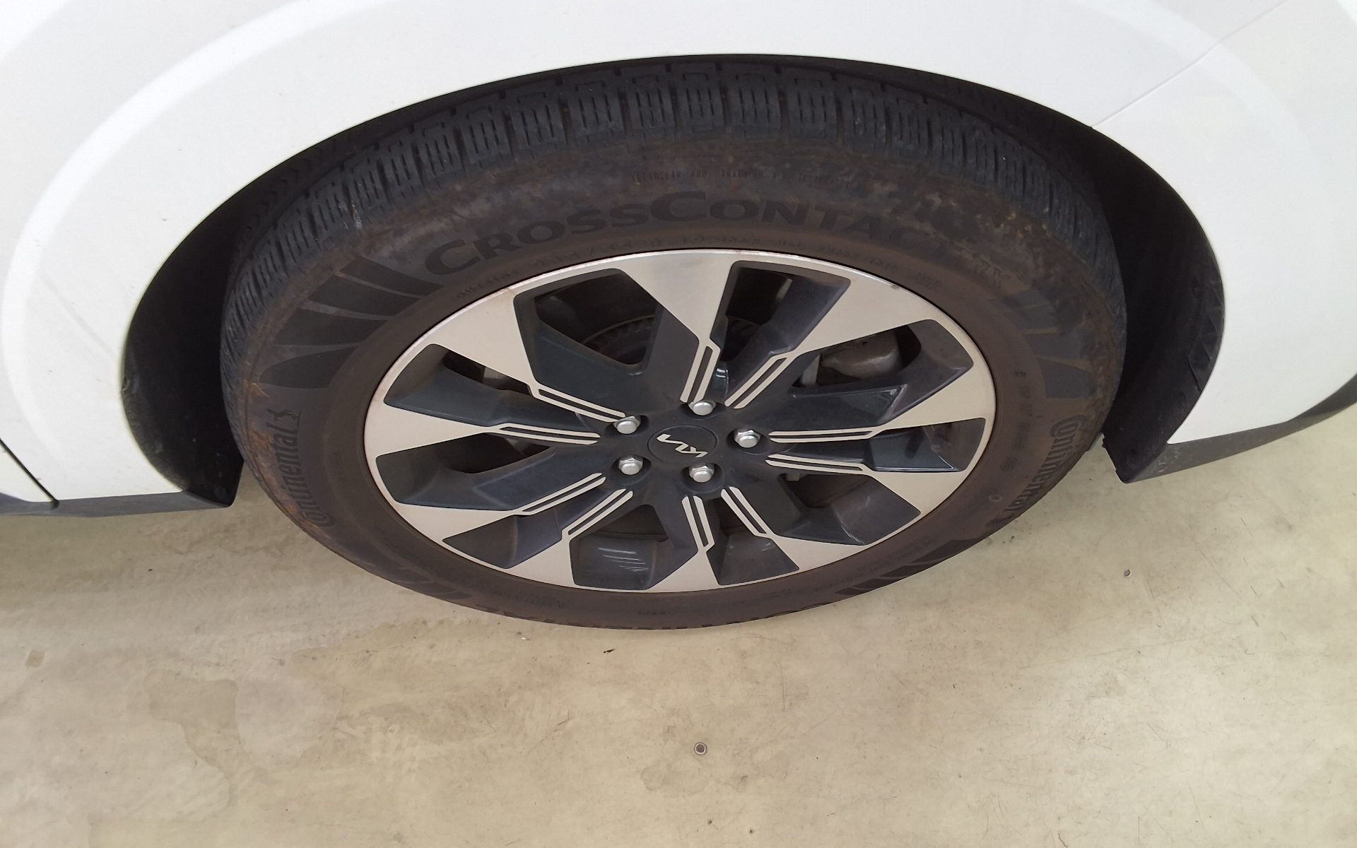 2023 - kia carnival