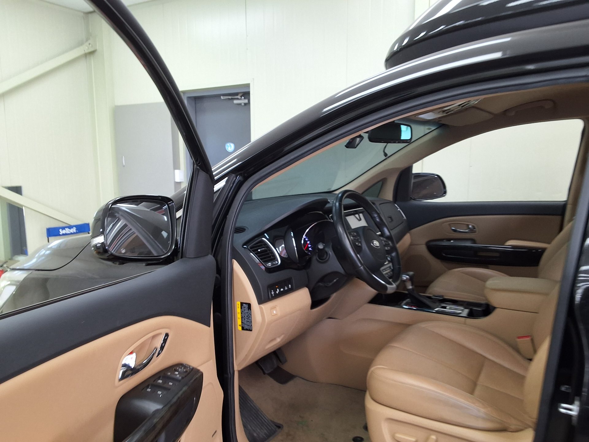 2019 - kia carnival