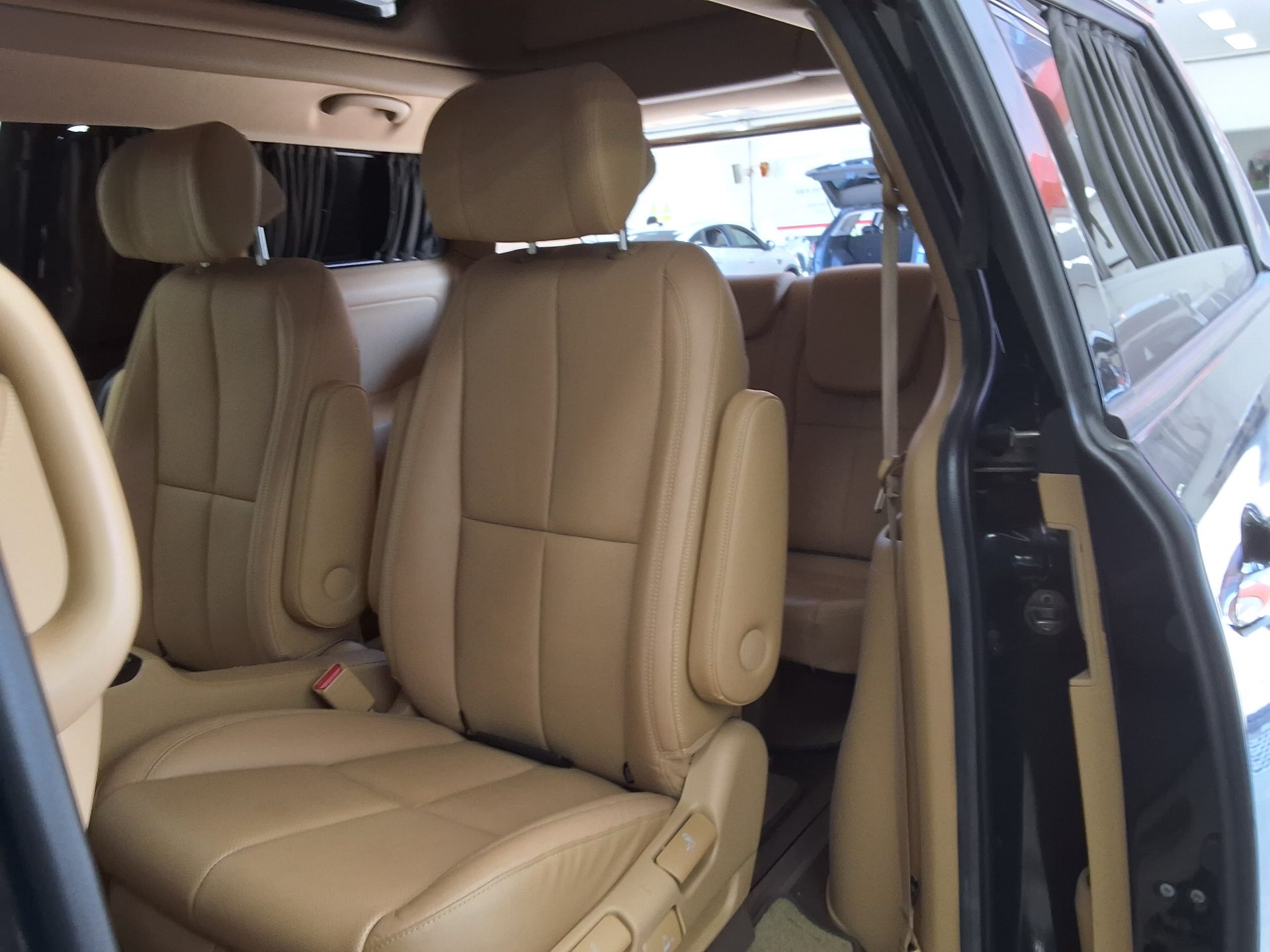 2019 - kia carnival