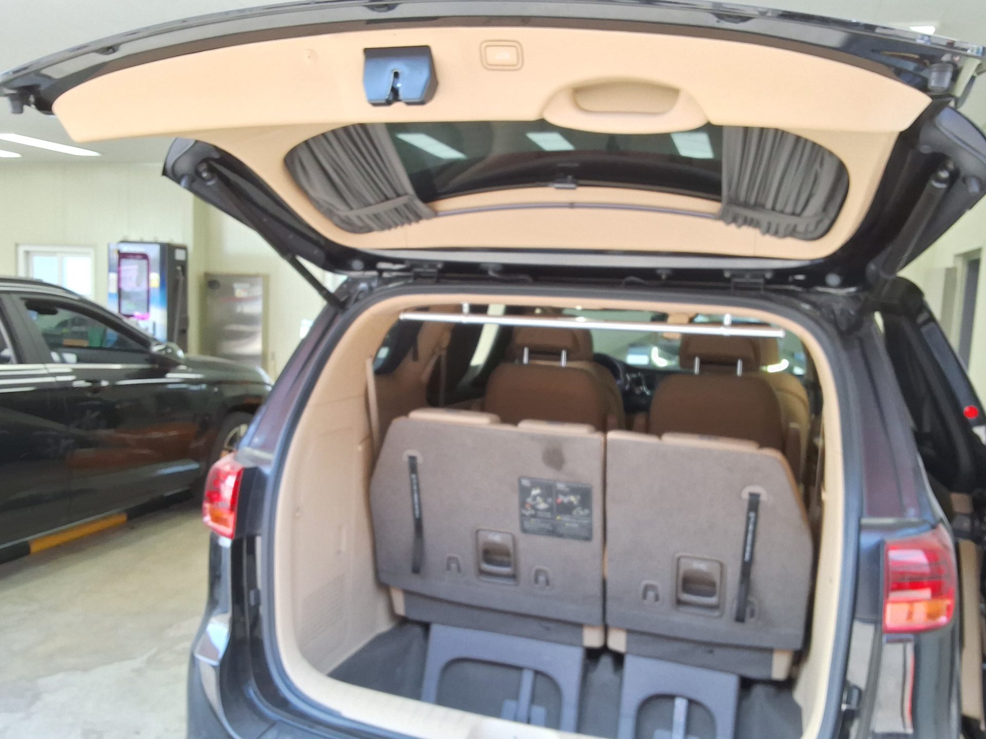 2019 - kia carnival