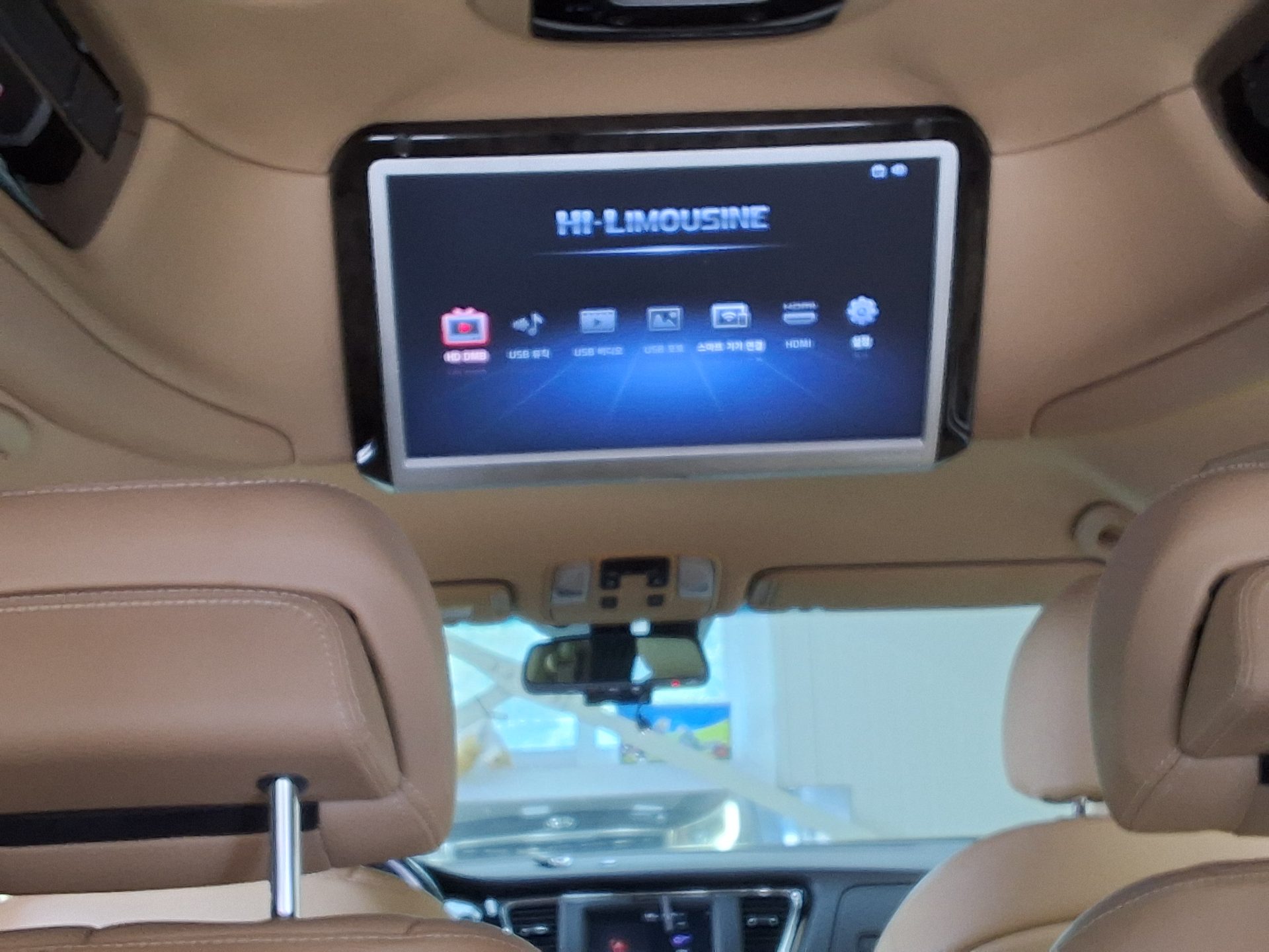 2019 - kia carnival