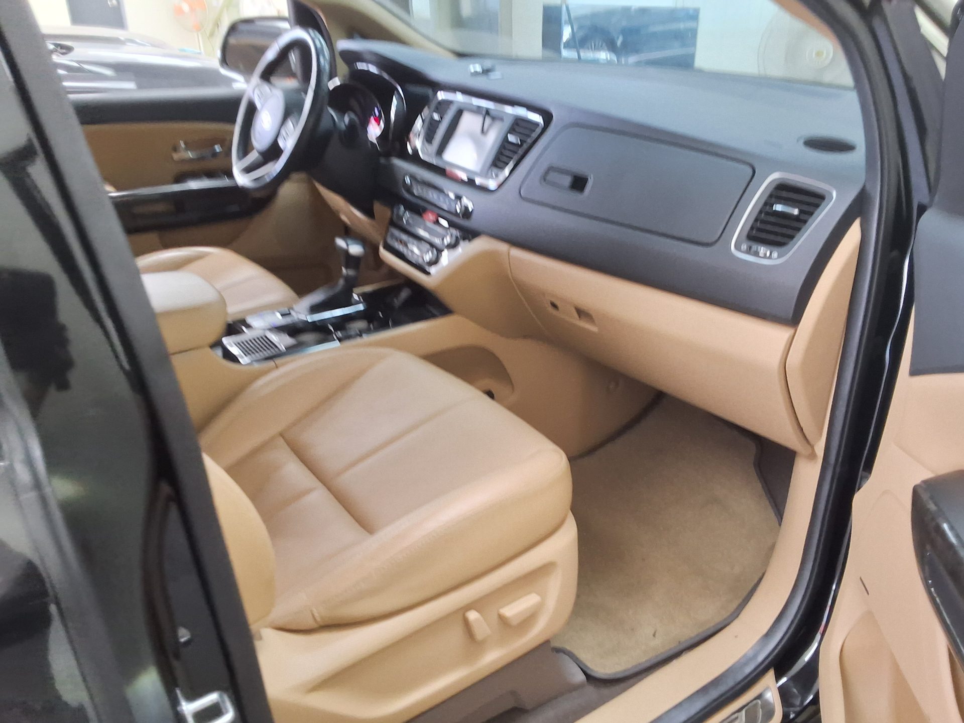 2019 - kia carnival