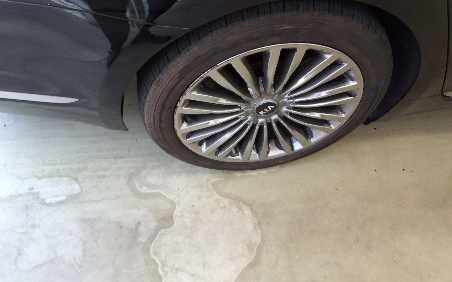 2019 - kia k9