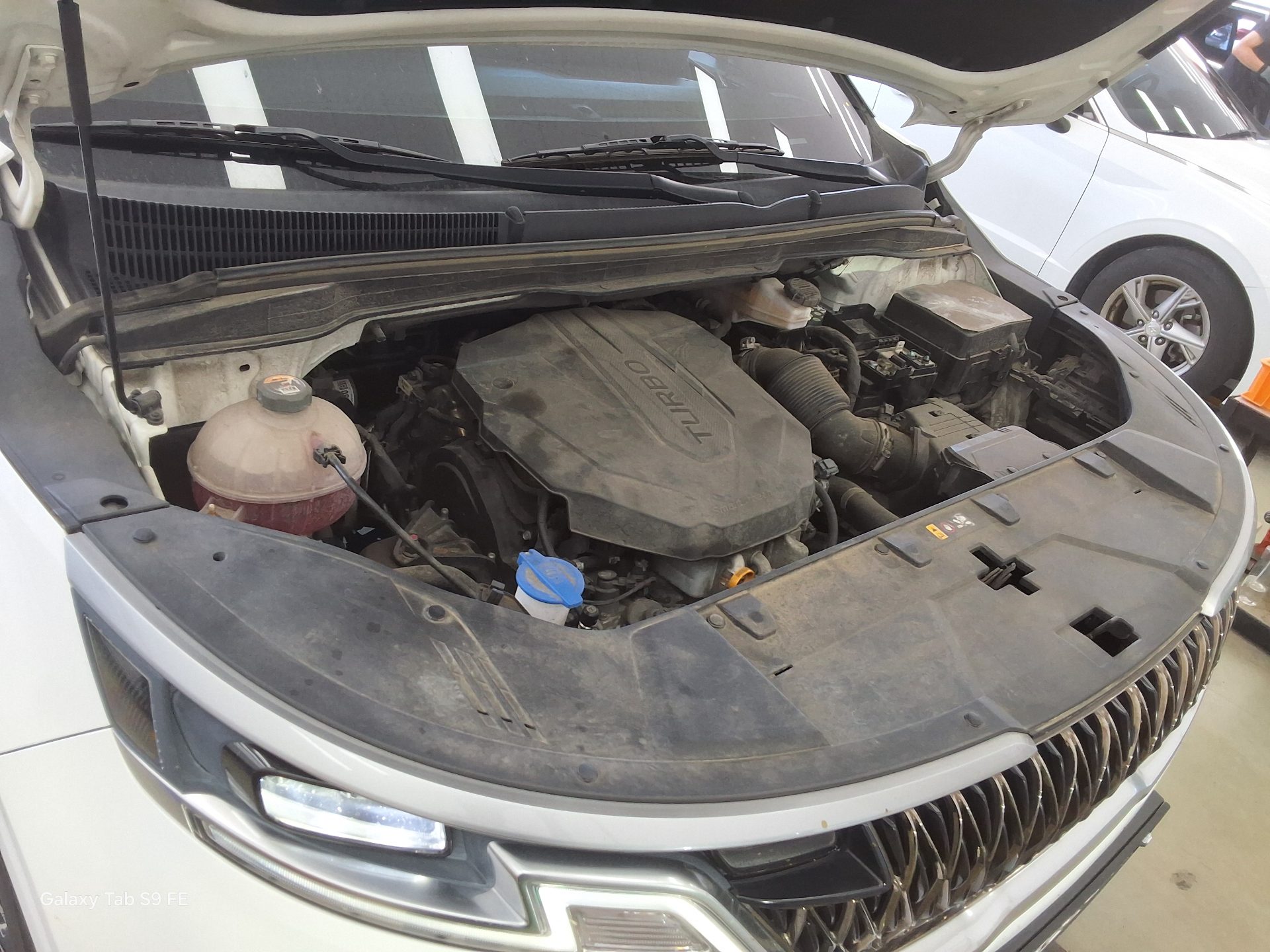 2021 - kia carnival