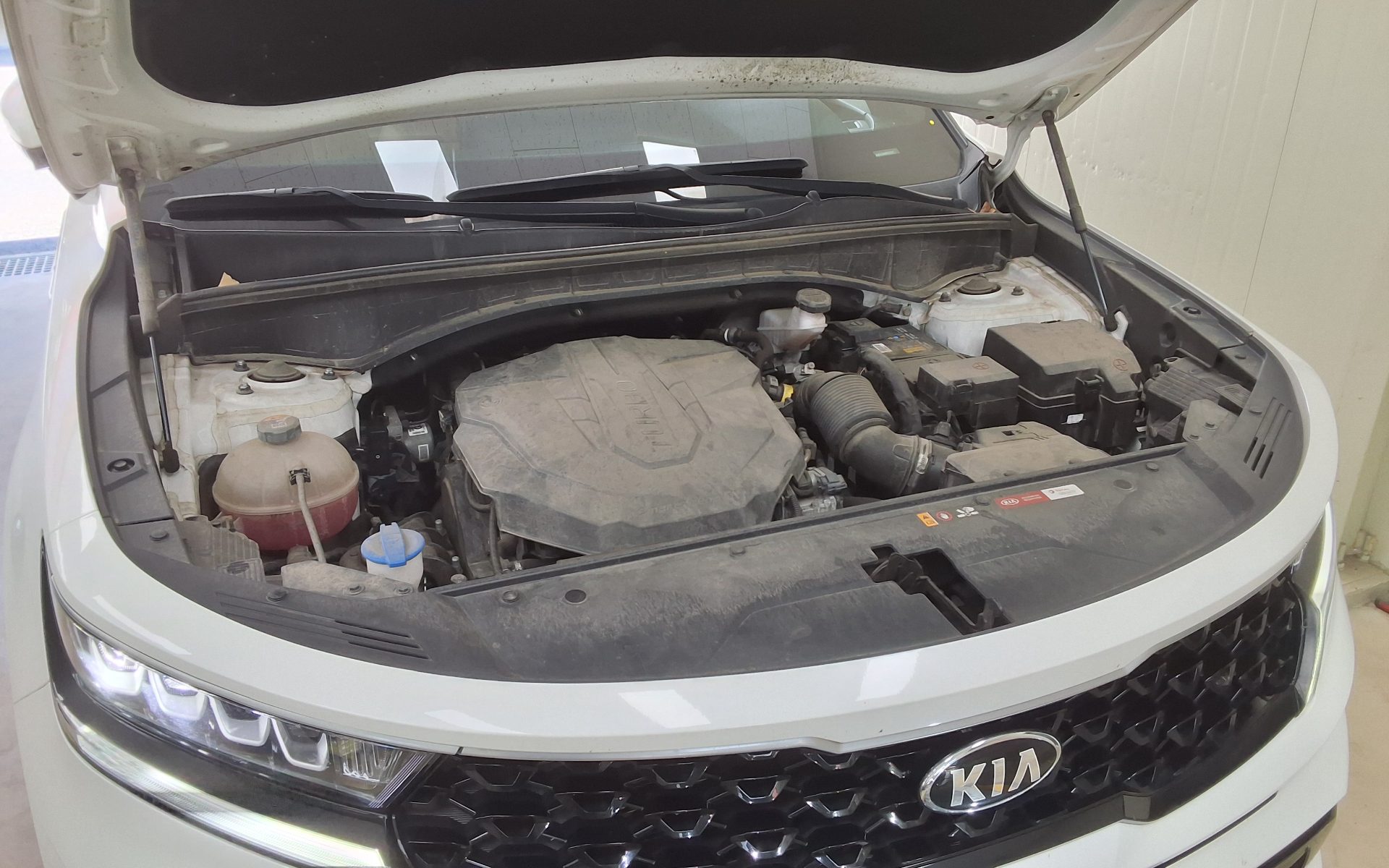 2021 - kia sorento