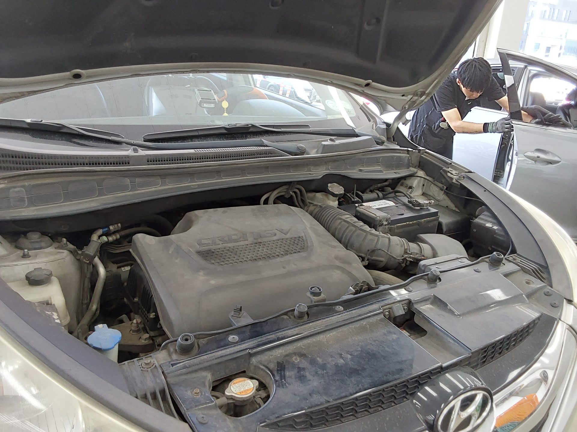 2010 - hyundai tucson