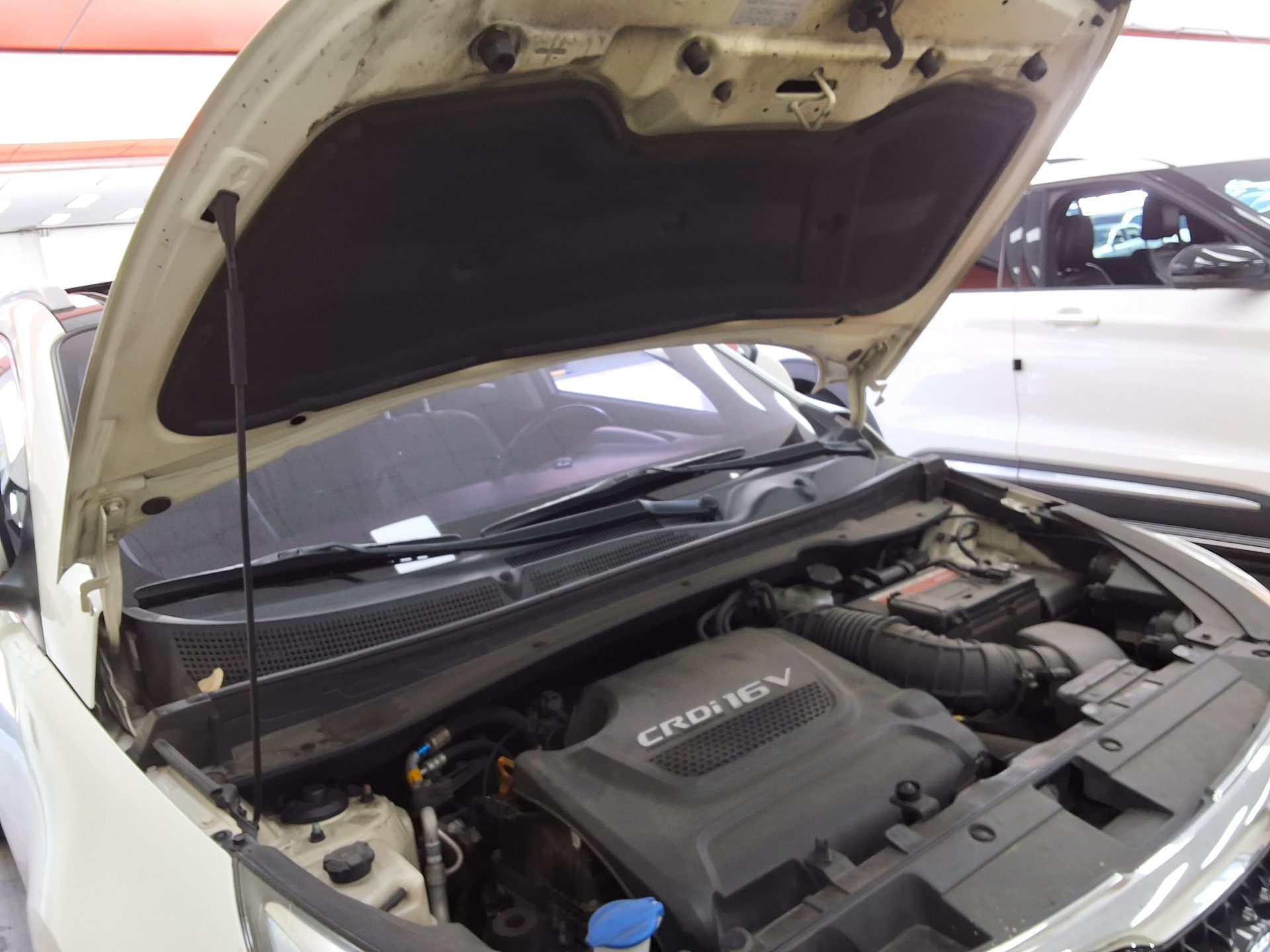 2016 - kia sportage