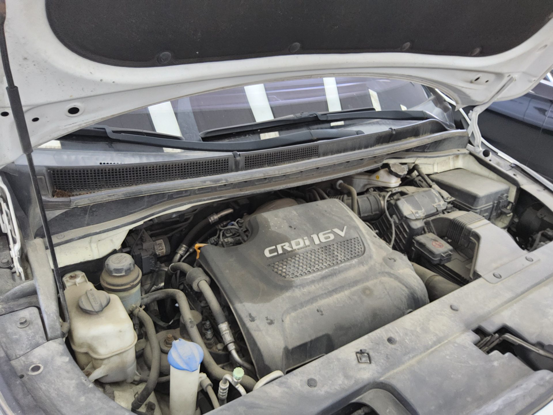 2016 - kia carnival