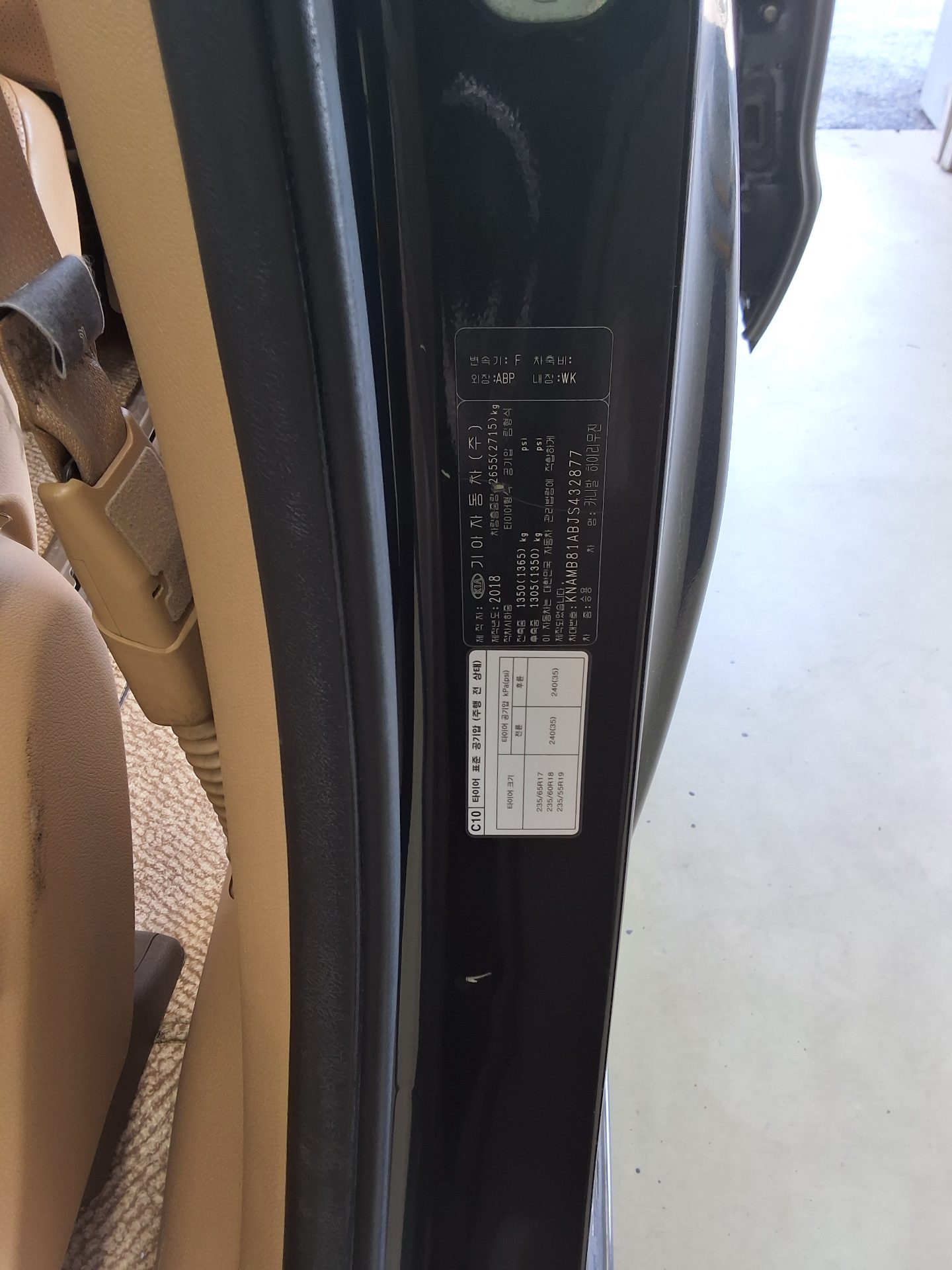 2018 - kia carnival