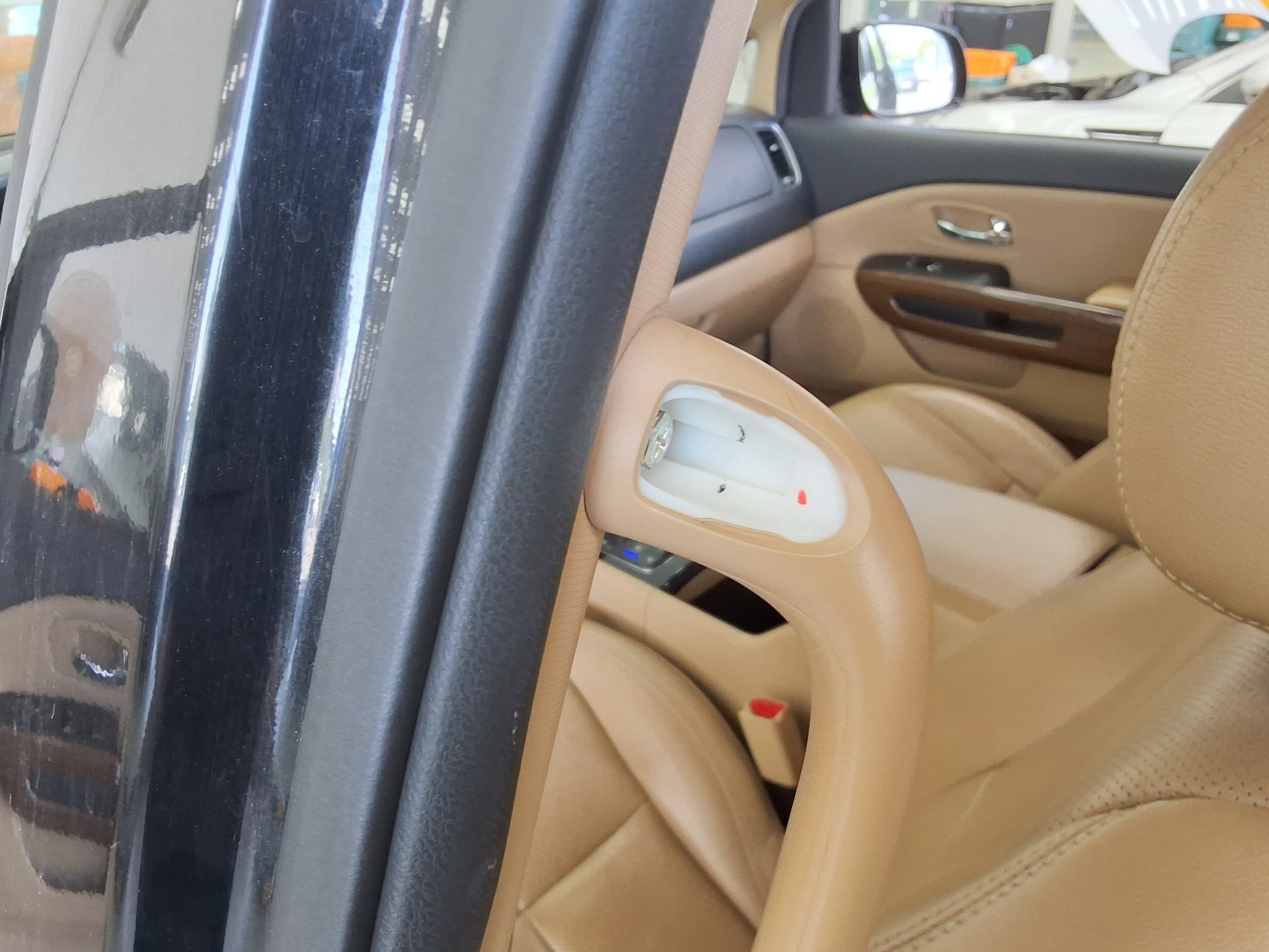 2018 - kia carnival