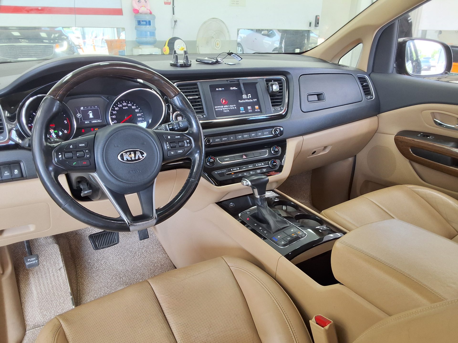 2018 - kia carnival