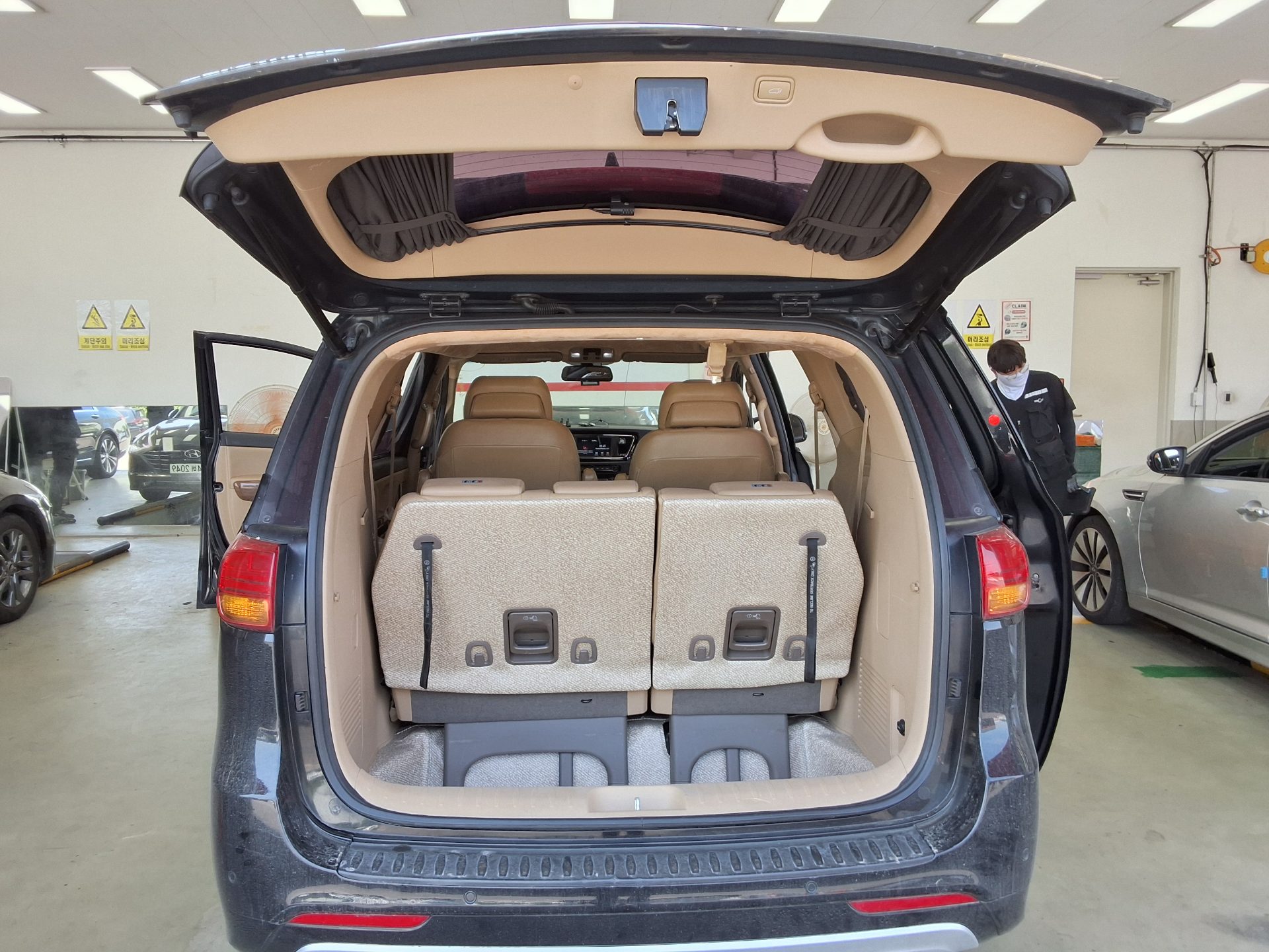 2018 - kia carnival