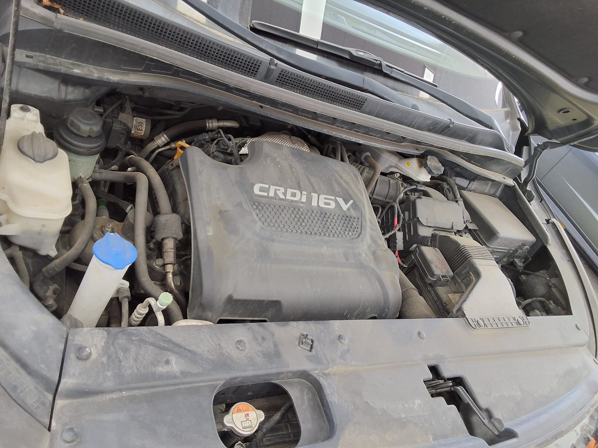 2018 - kia carnival