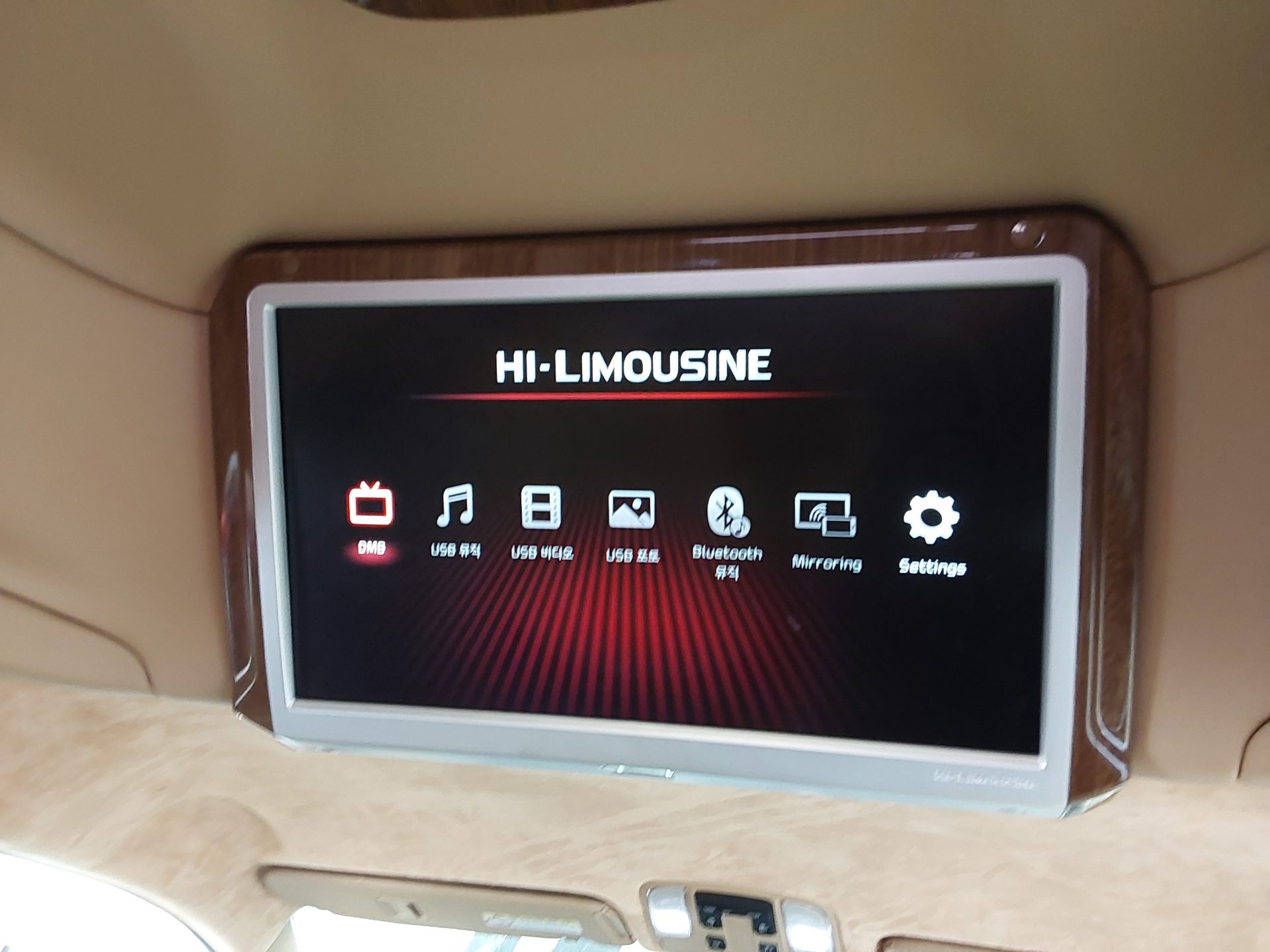 2018 - kia carnival