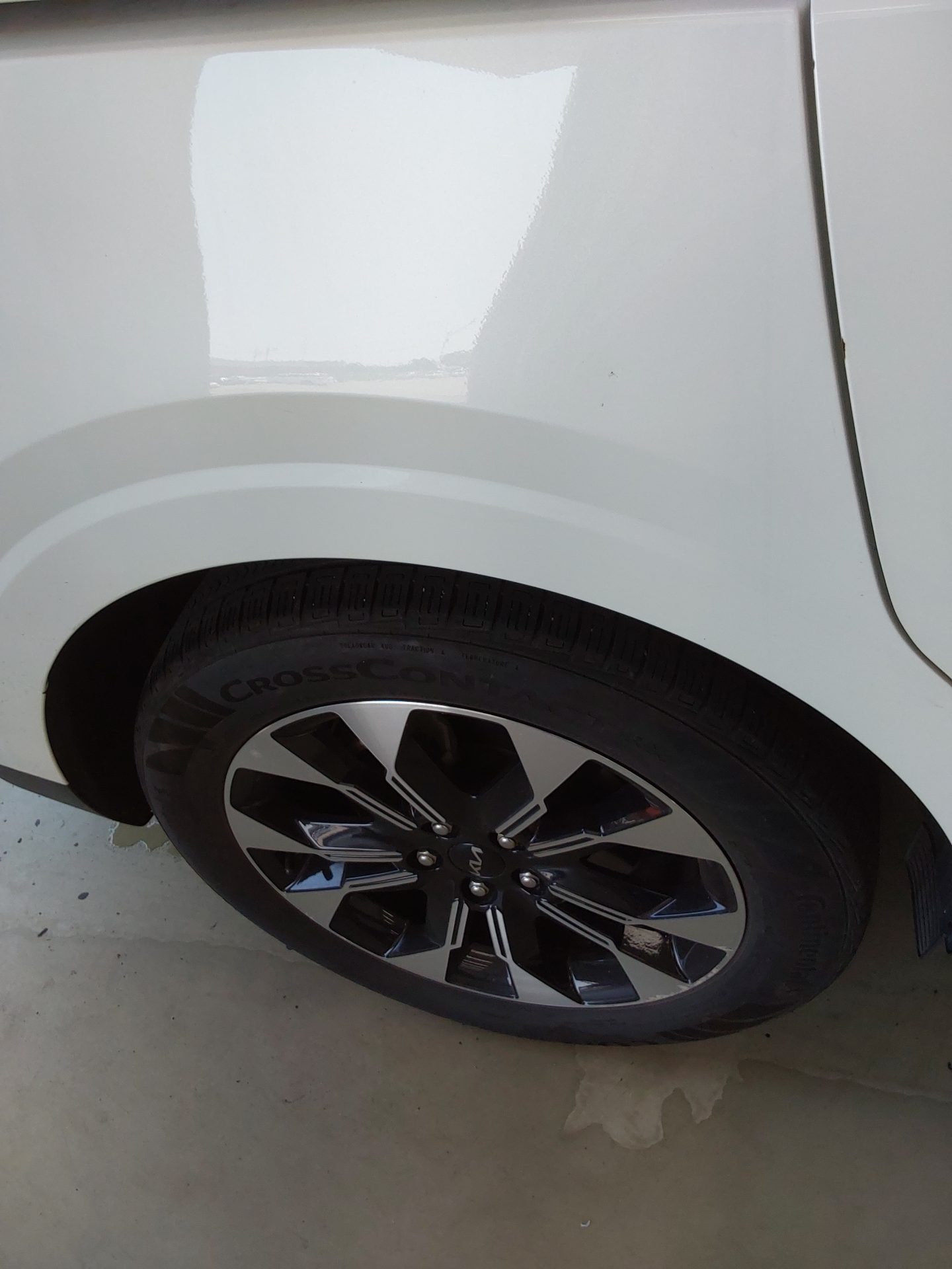 2023 - kia carnival