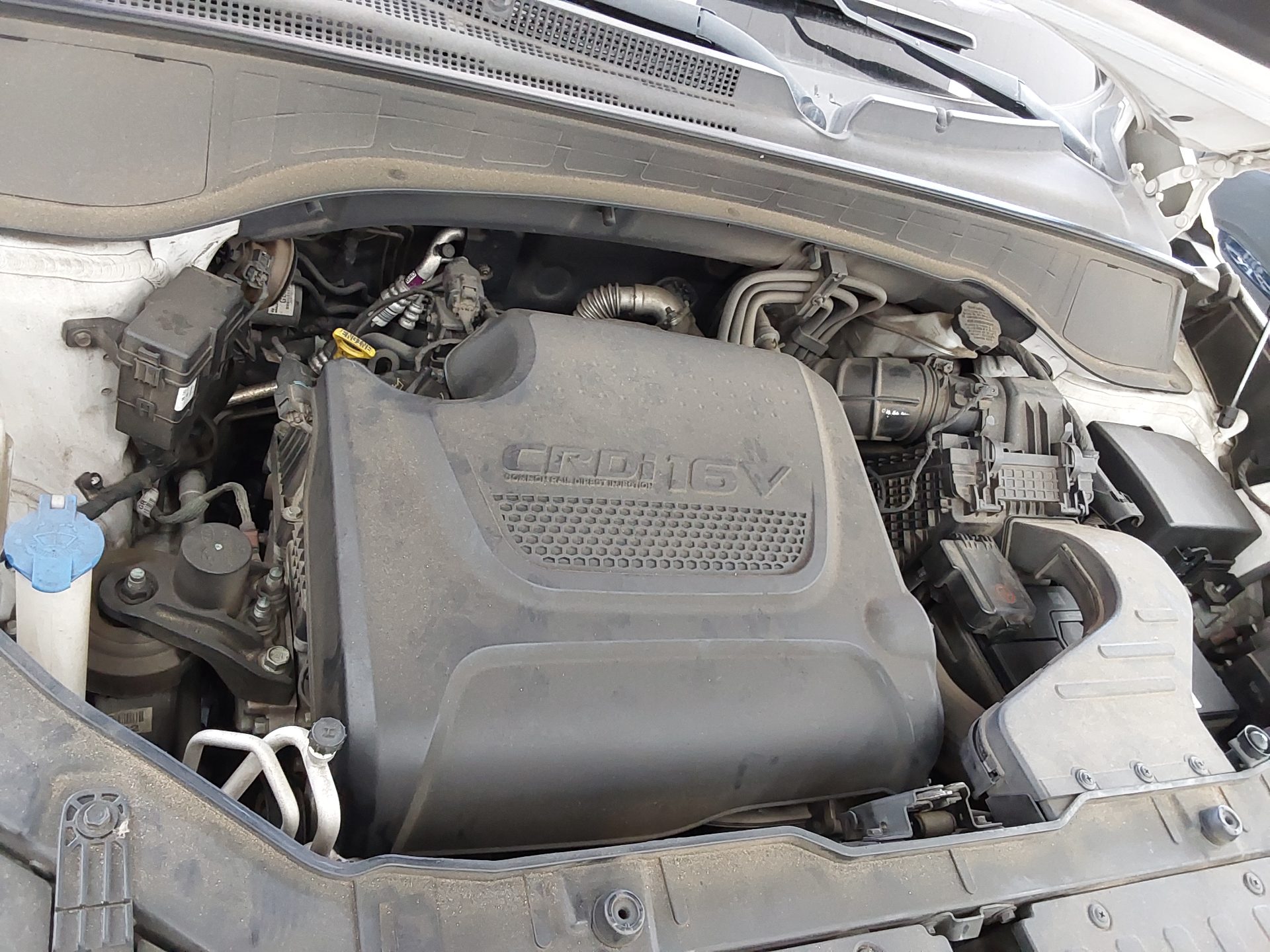 2014 - kia sorento
