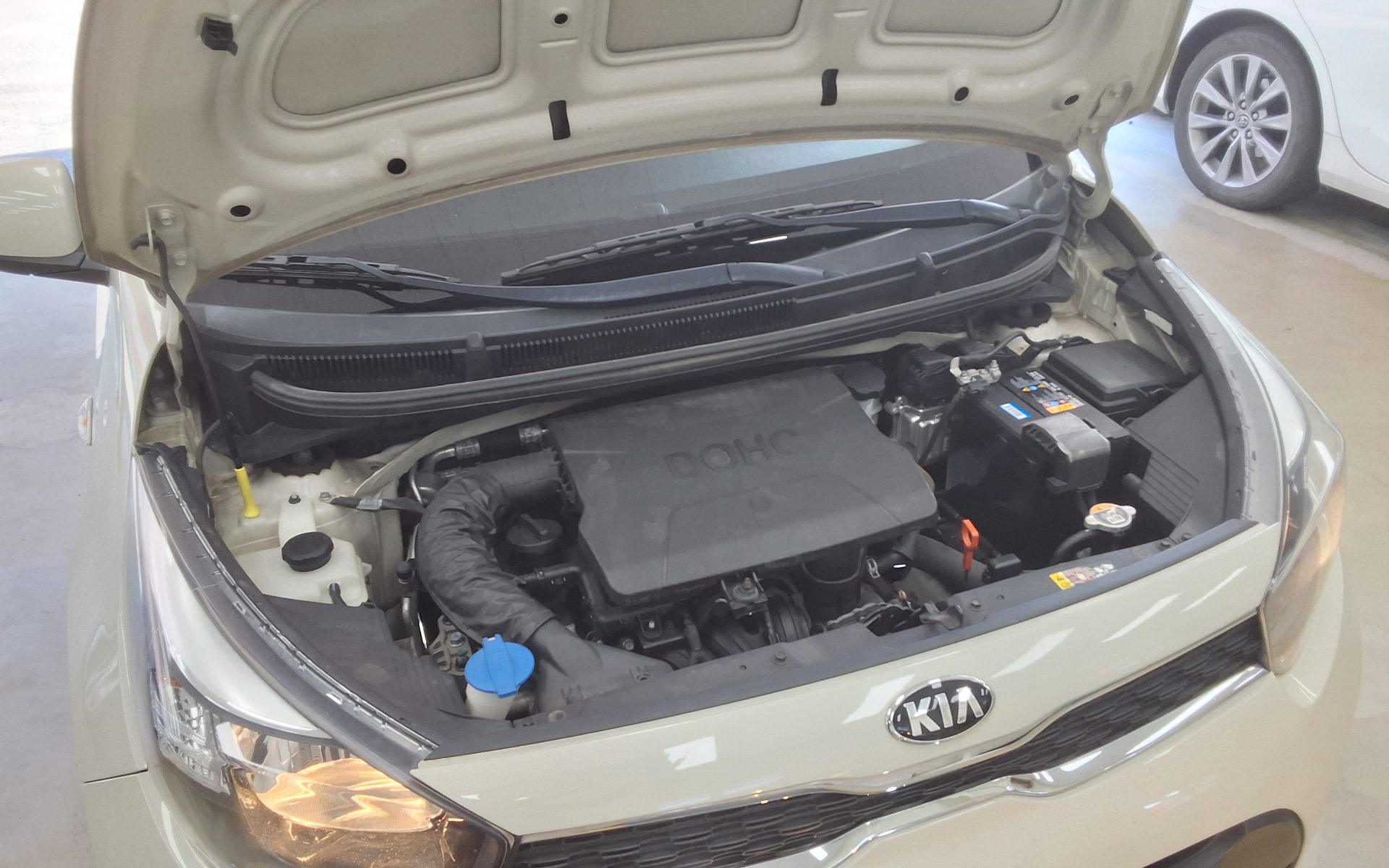 2019 - kia morning