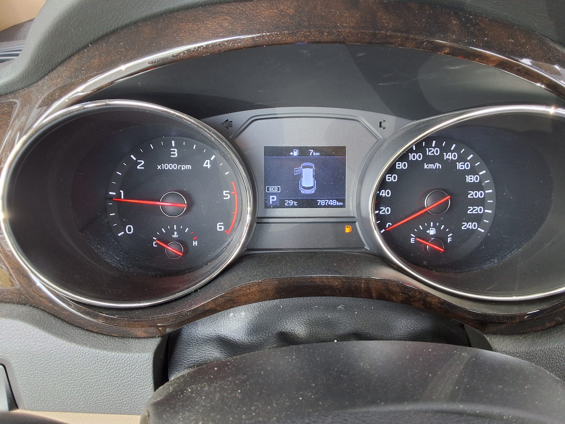 2019 - kia carnival