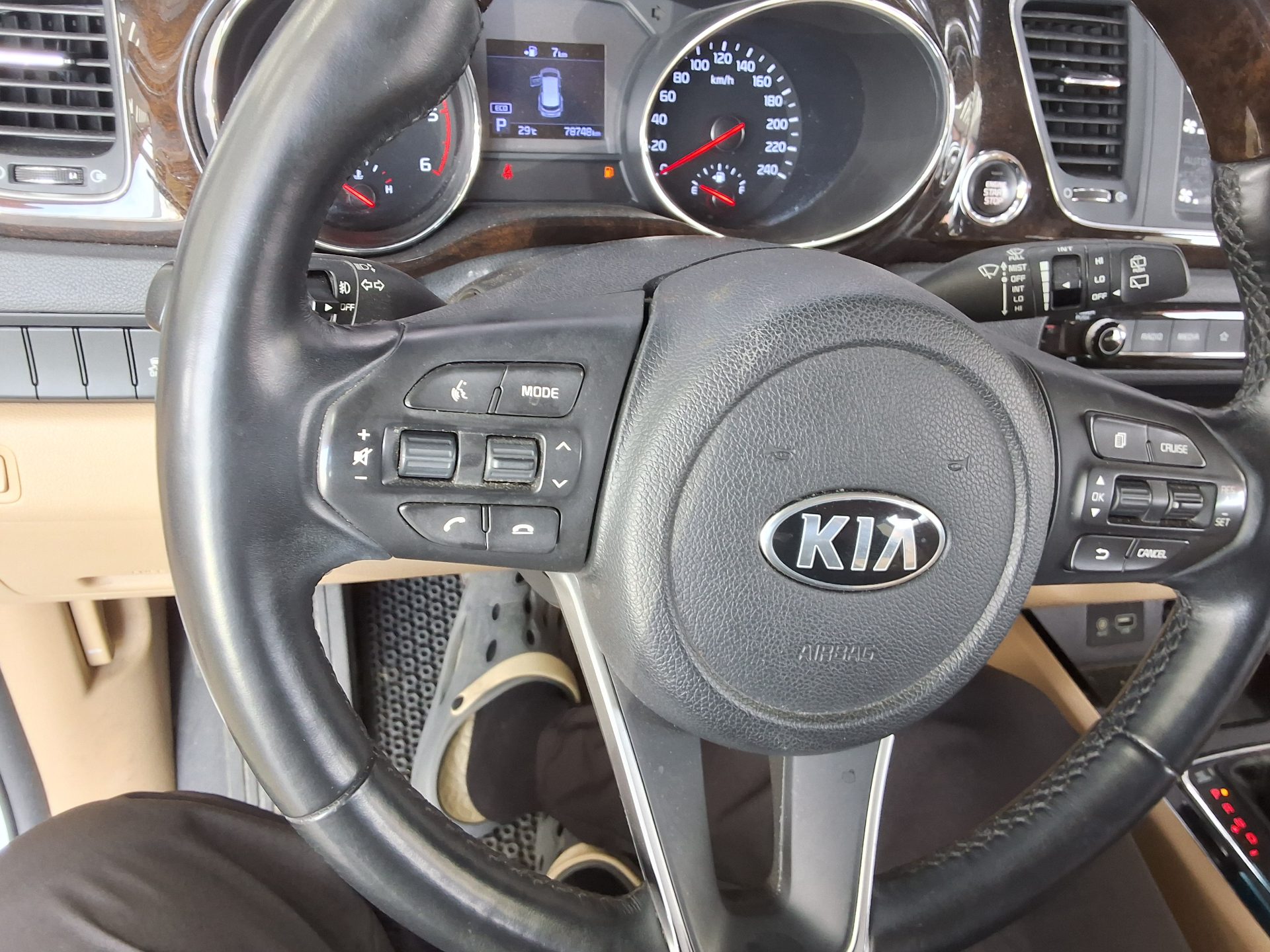 2019 - kia carnival