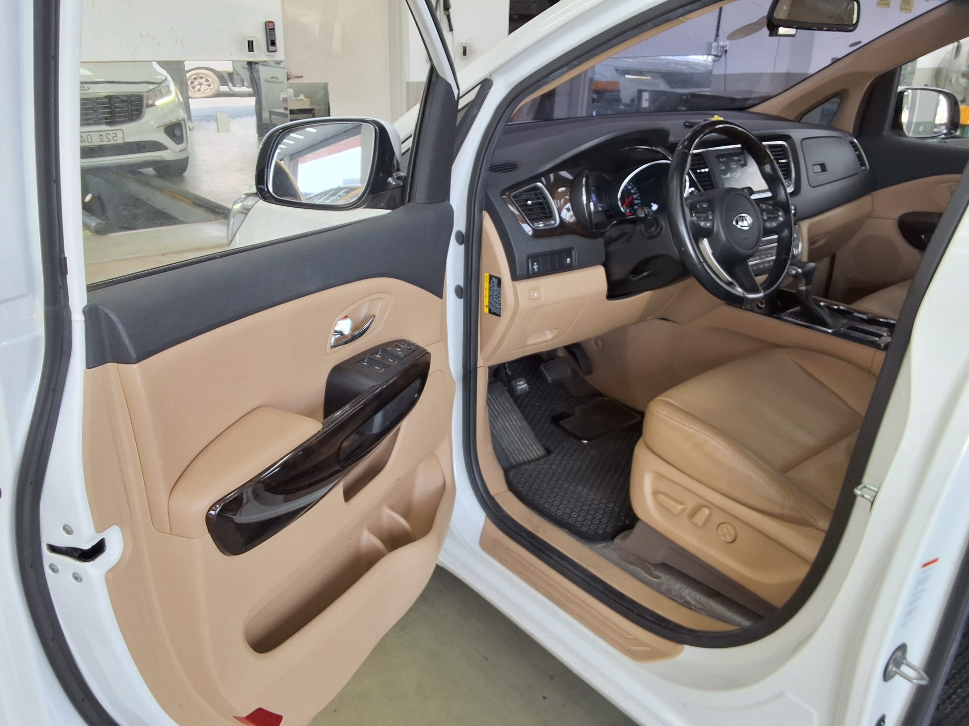 2019 - kia carnival