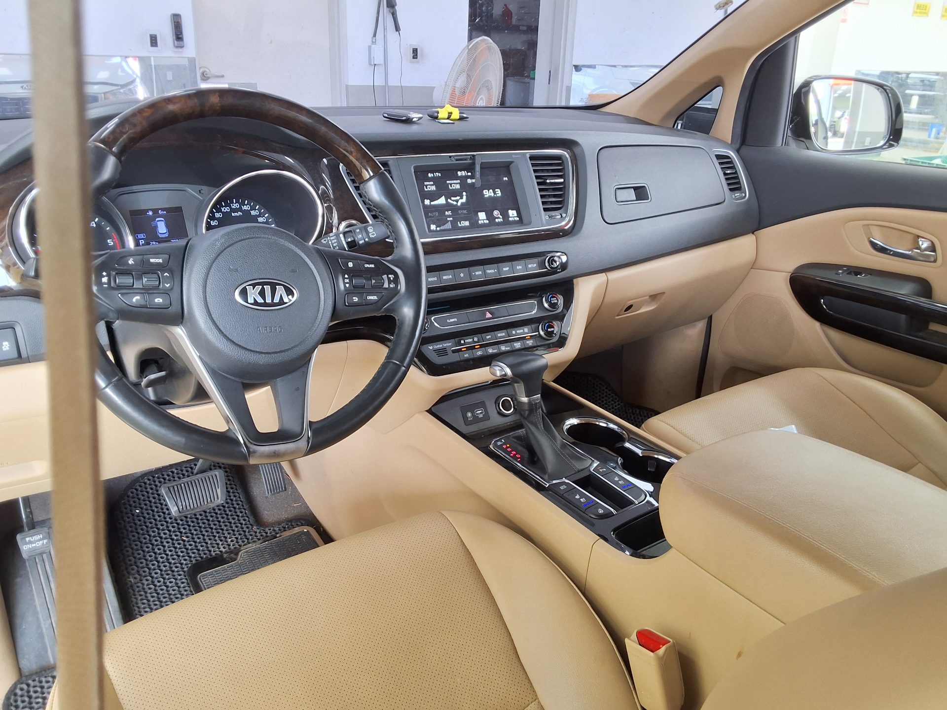 2019 - kia carnival