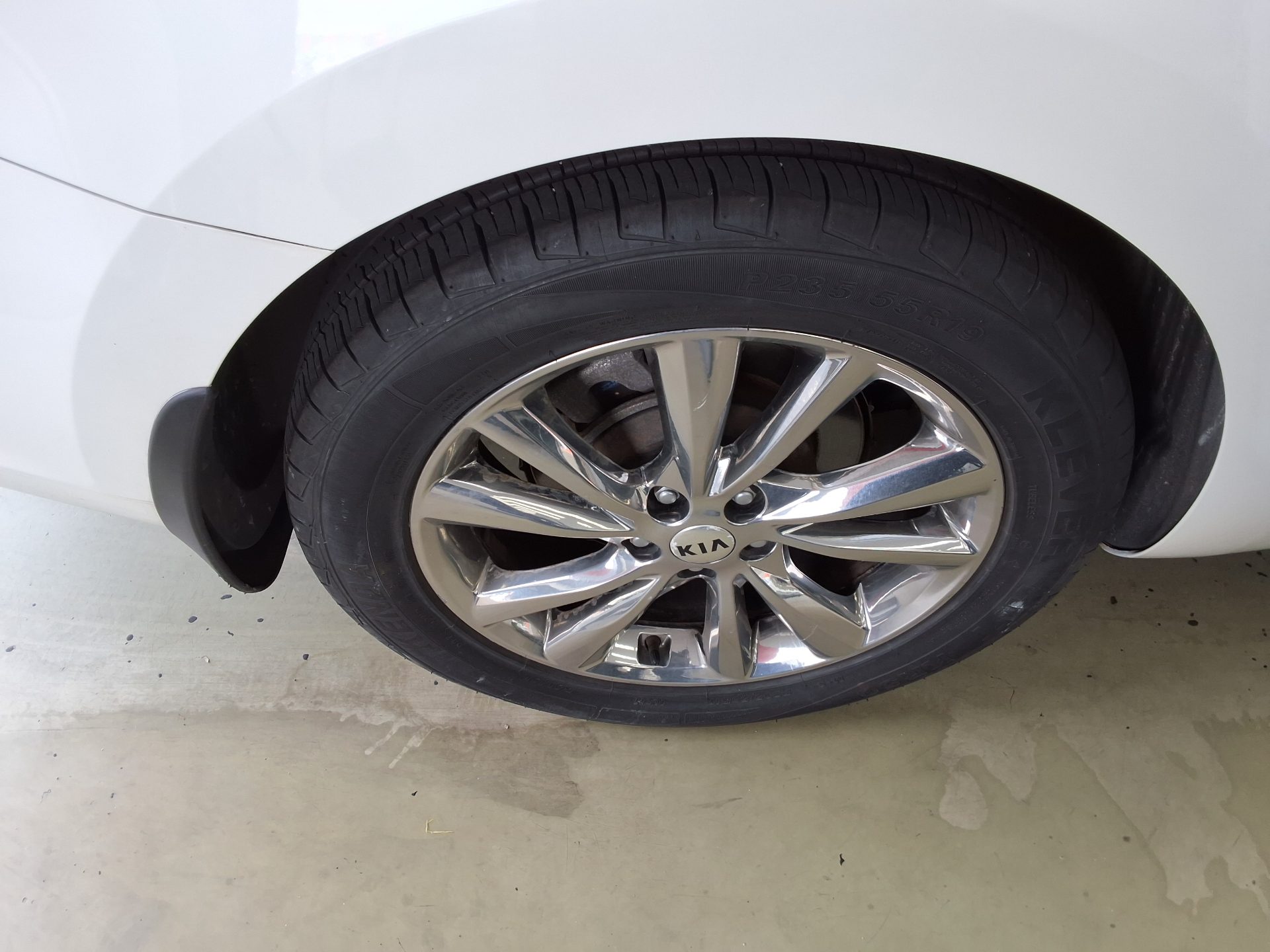 2019 - kia carnival