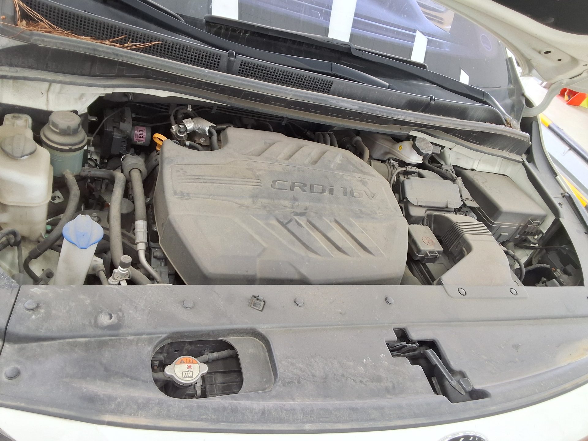 2019 - kia carnival