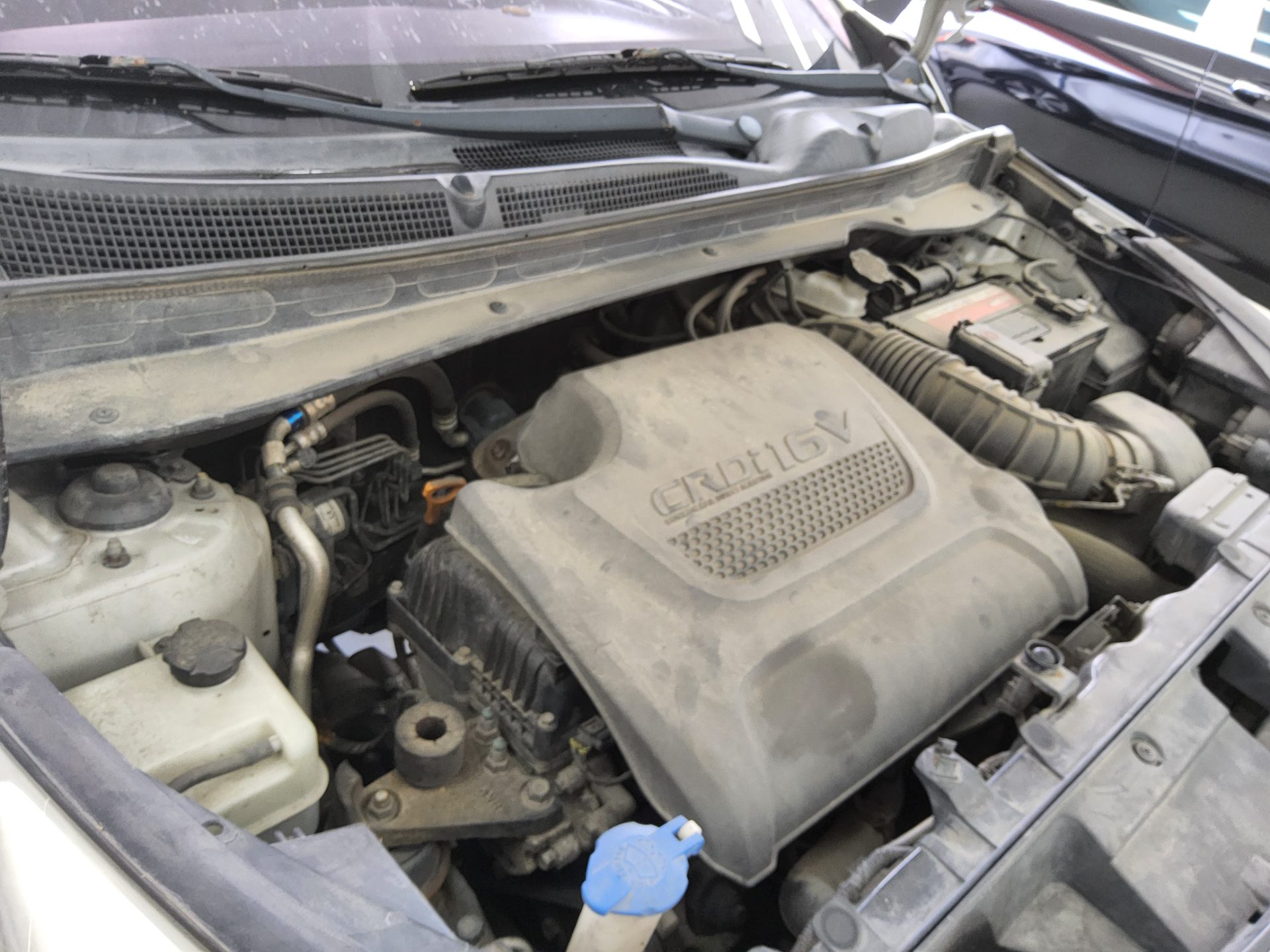 2013 - kia sportage