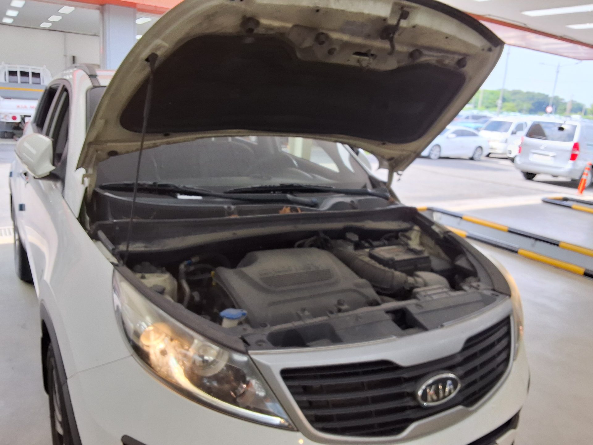 2011 - kia sportage