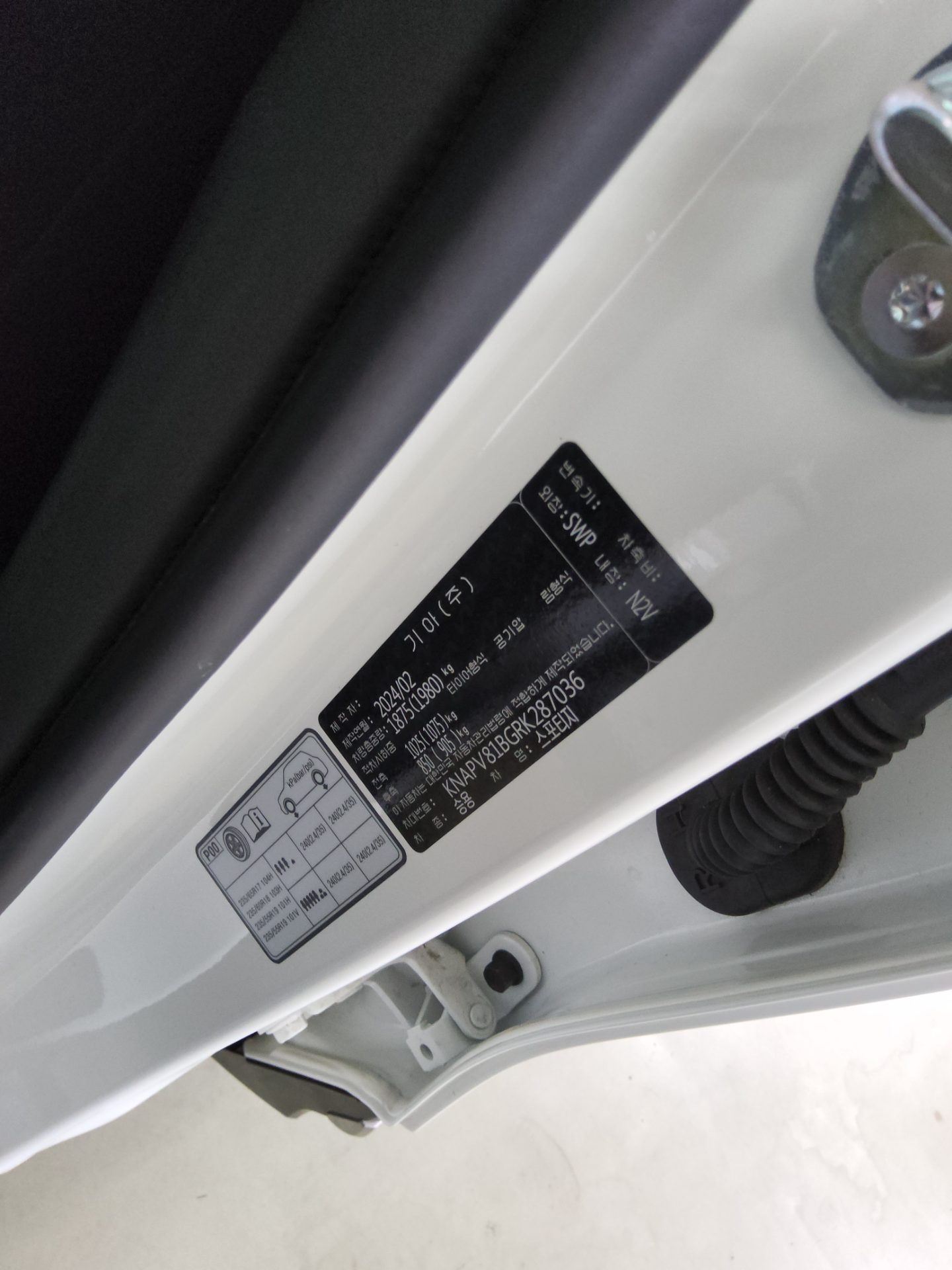 2024 - kia sportage