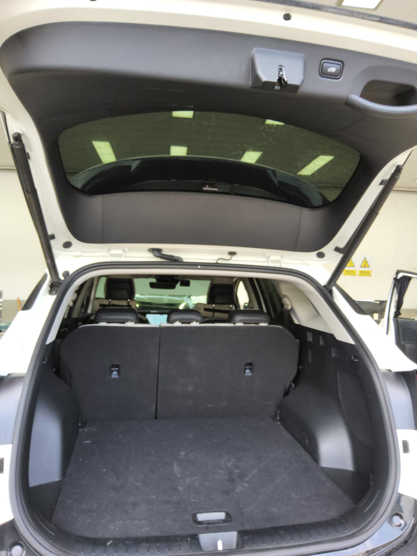 2024 - kia sportage