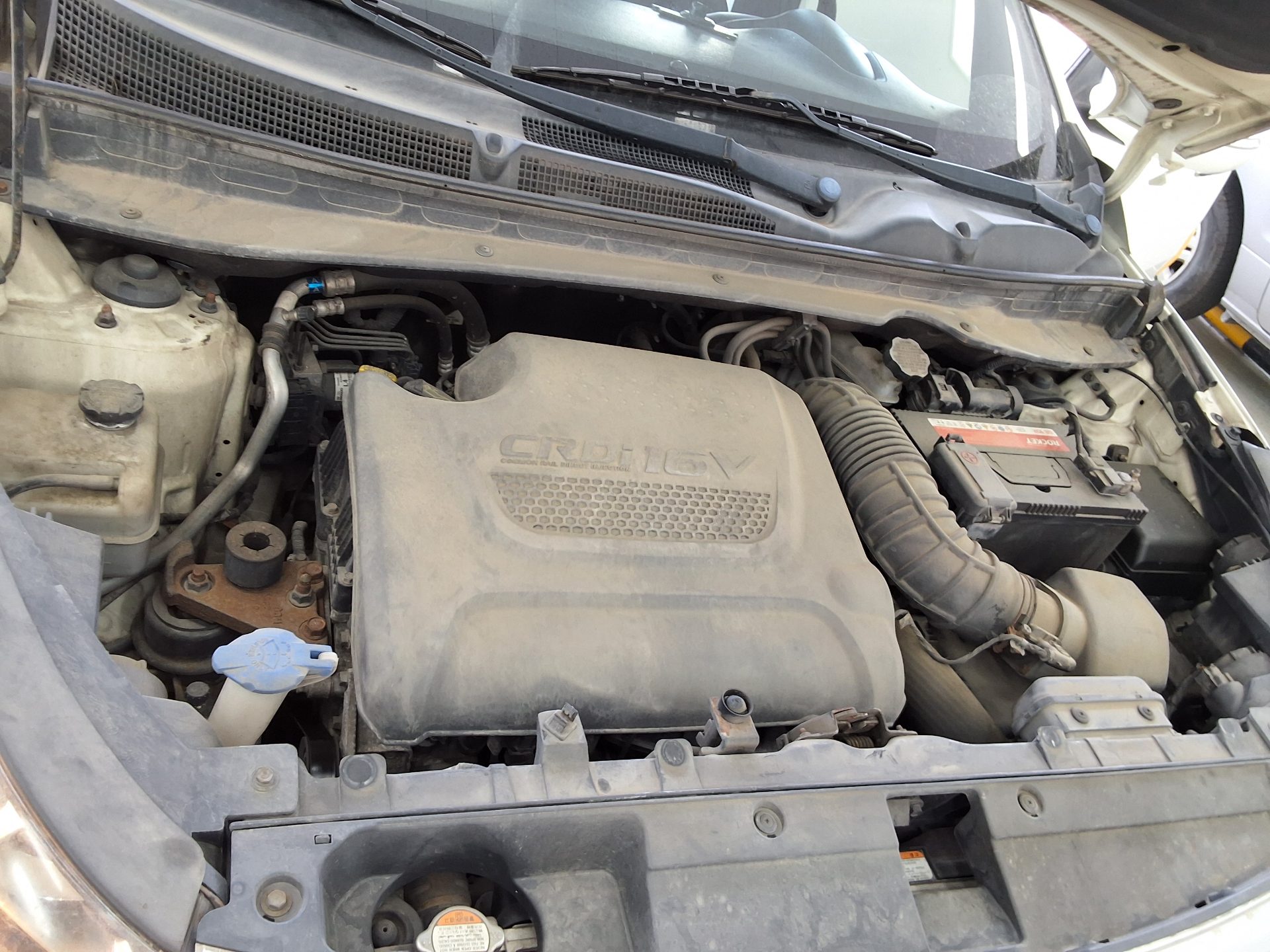 2012 - kia sportage