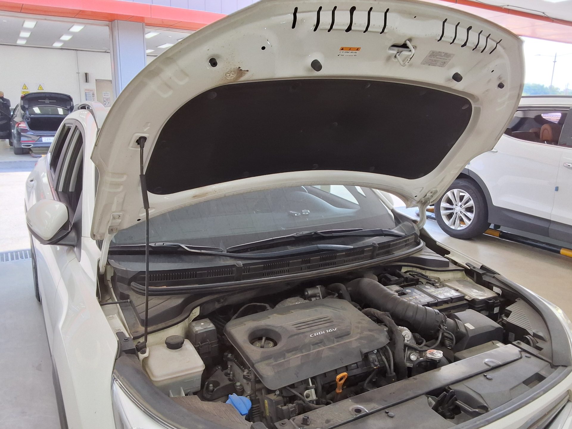 2018 - kia stonic